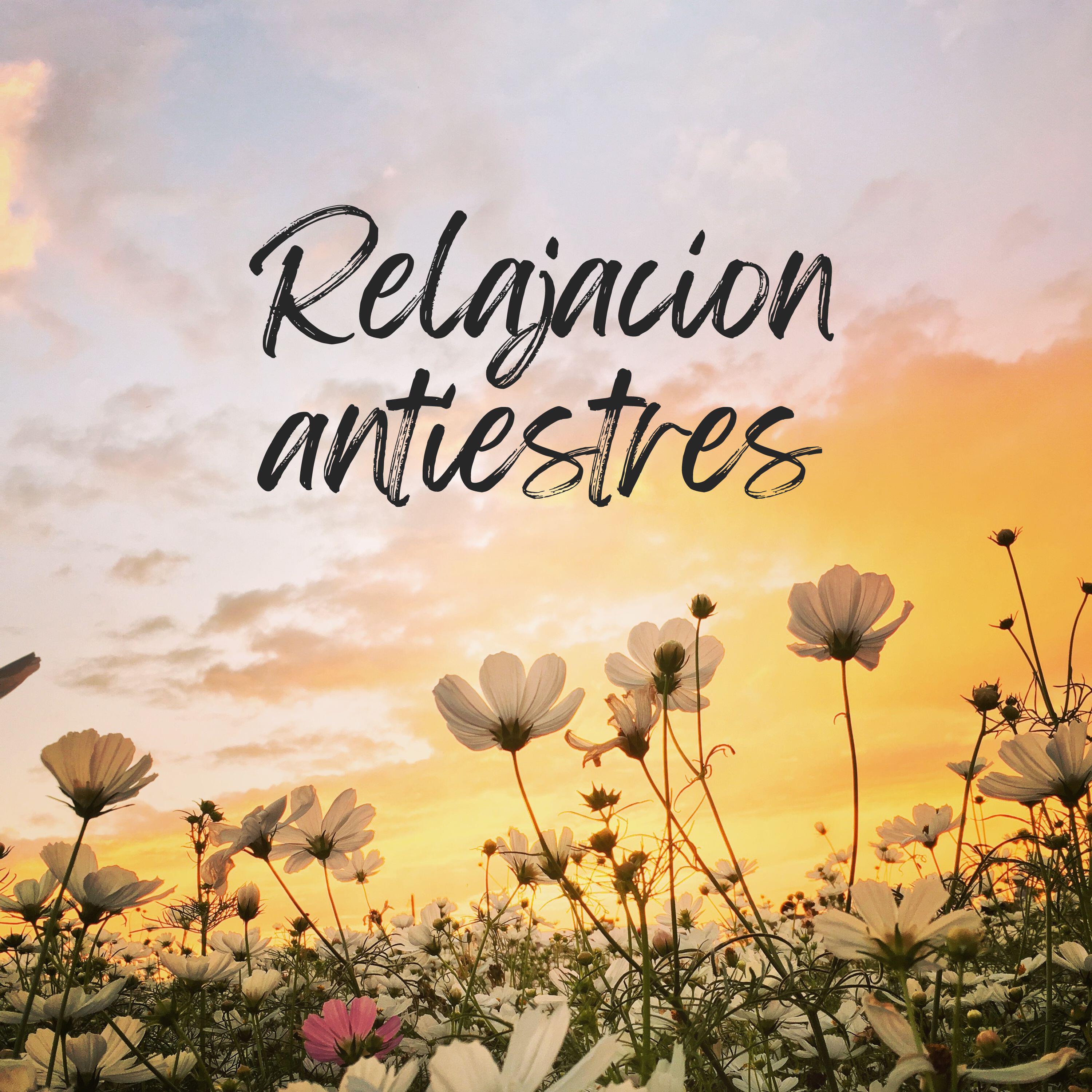 Релиз Relajacion antiestres