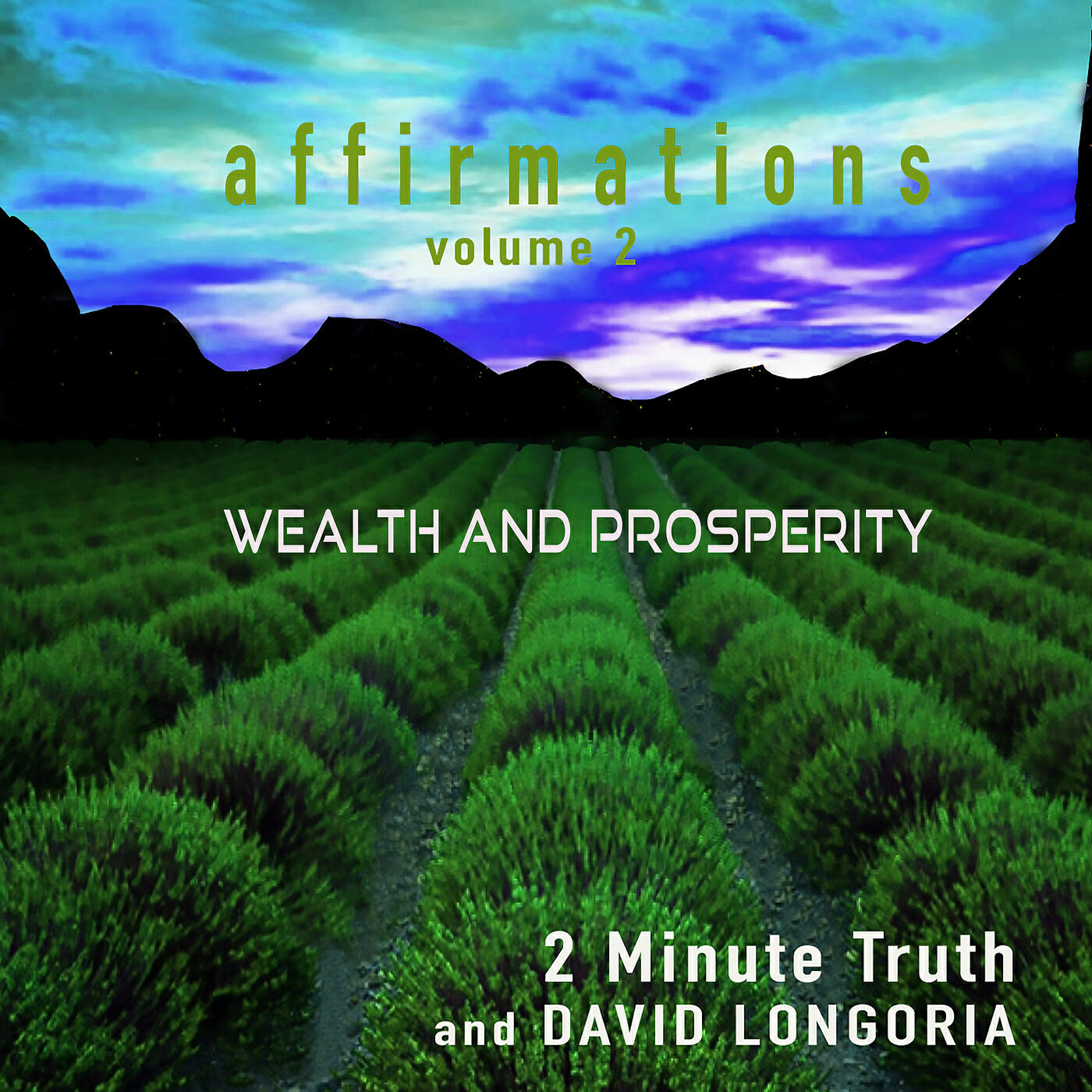 Постер альбома Affirmations, Vol 2 Wealth and Prosperity