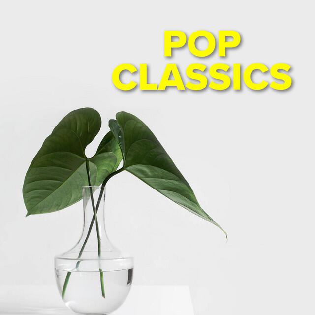 Постер альбома Pop Classics