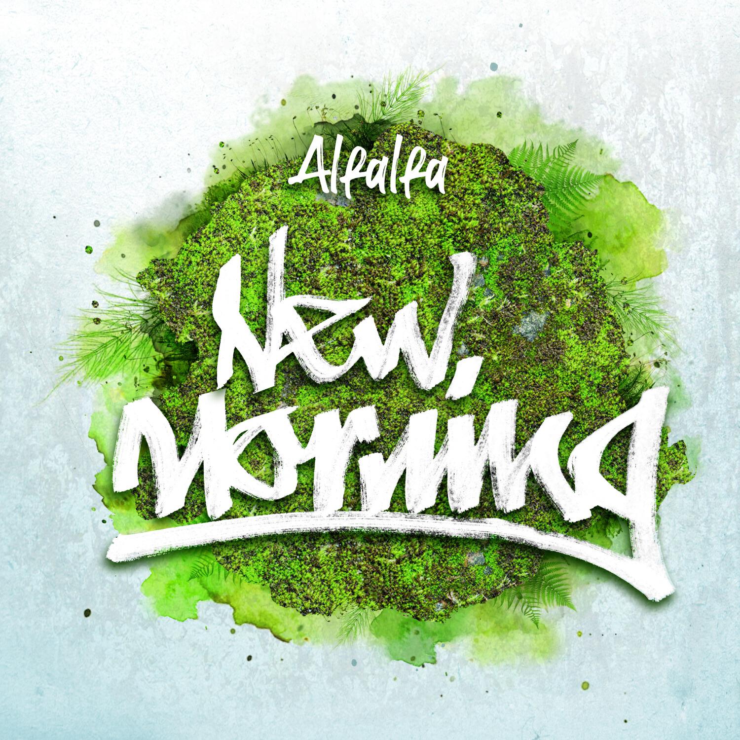 Релиз New Morning