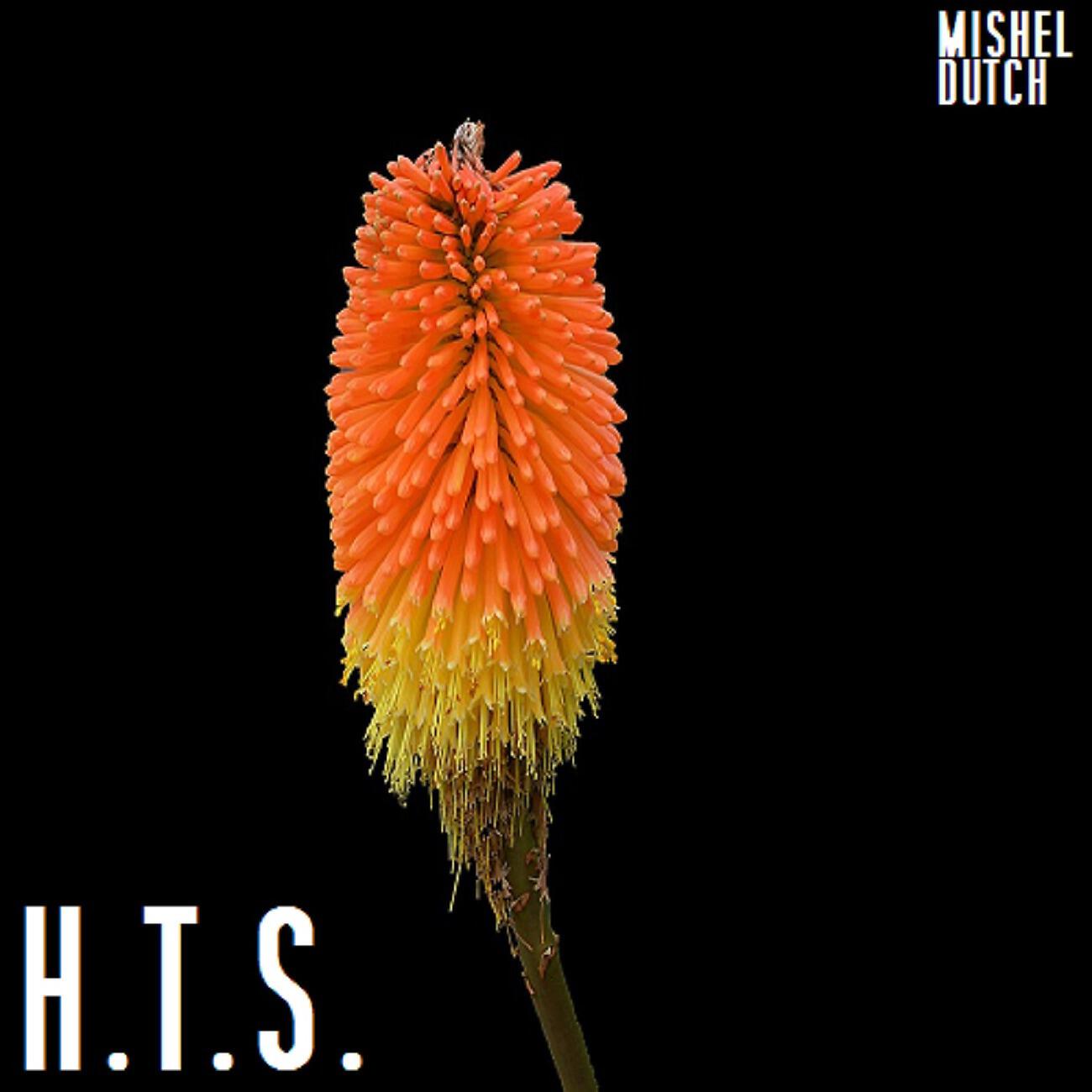 Релиз H.T.S.