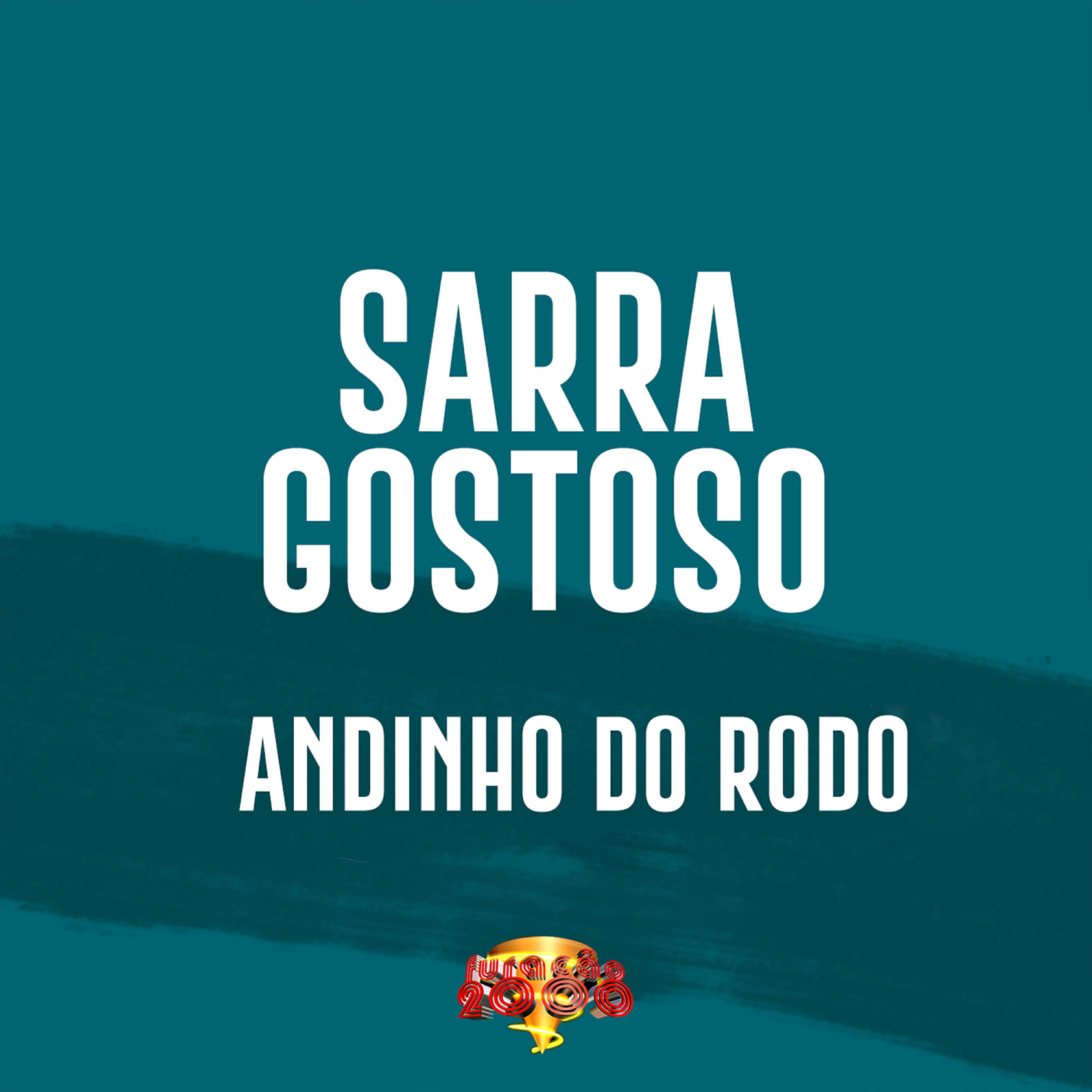 Andinho do Rodo