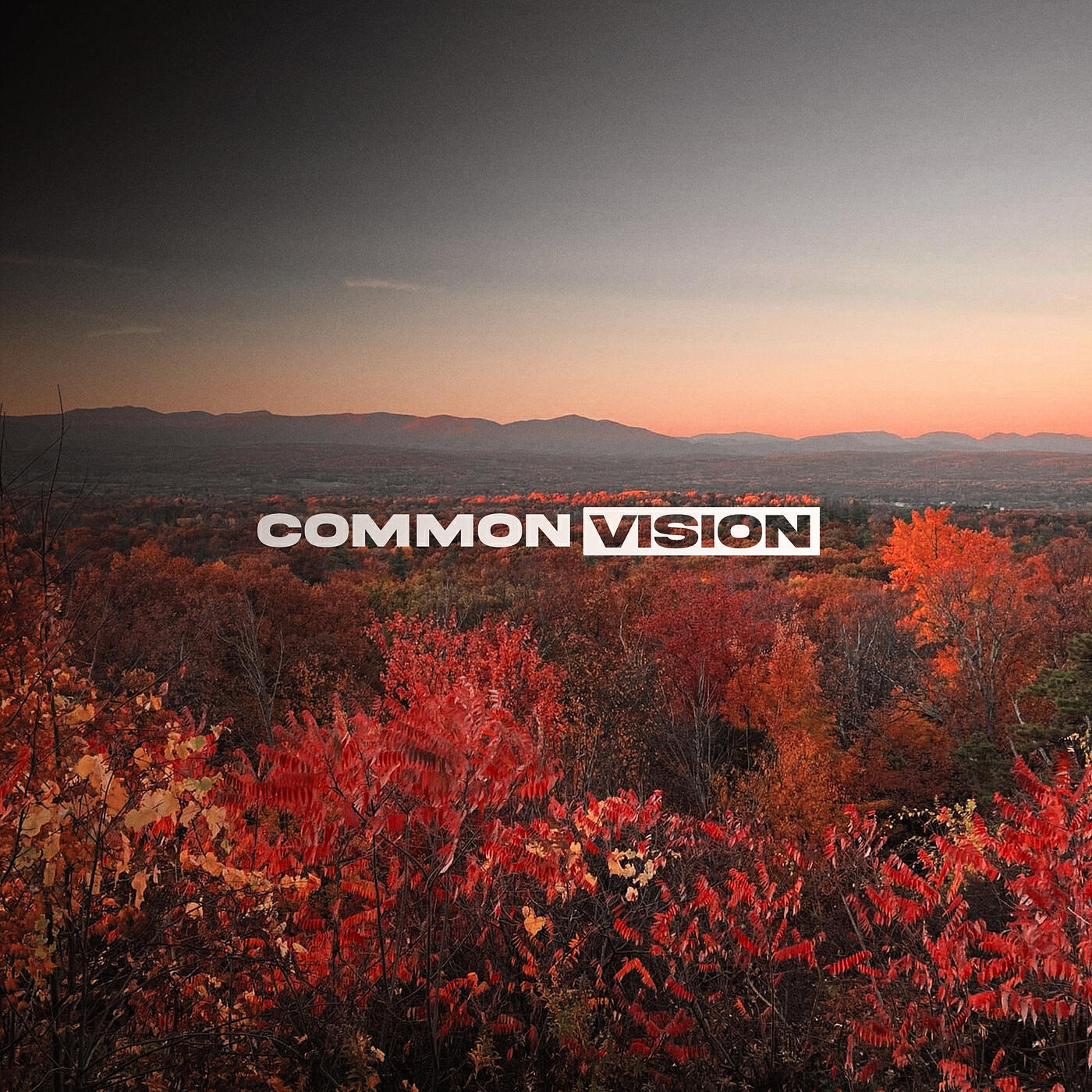Common Vision
