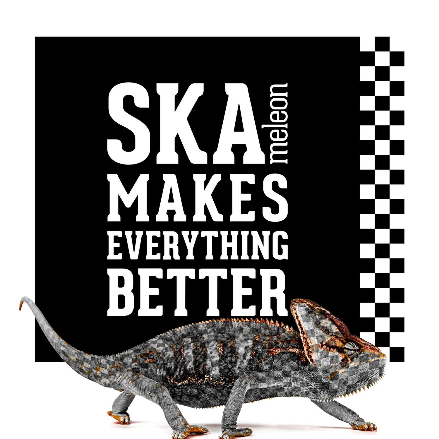 Релиз Ska Makes Everything Better