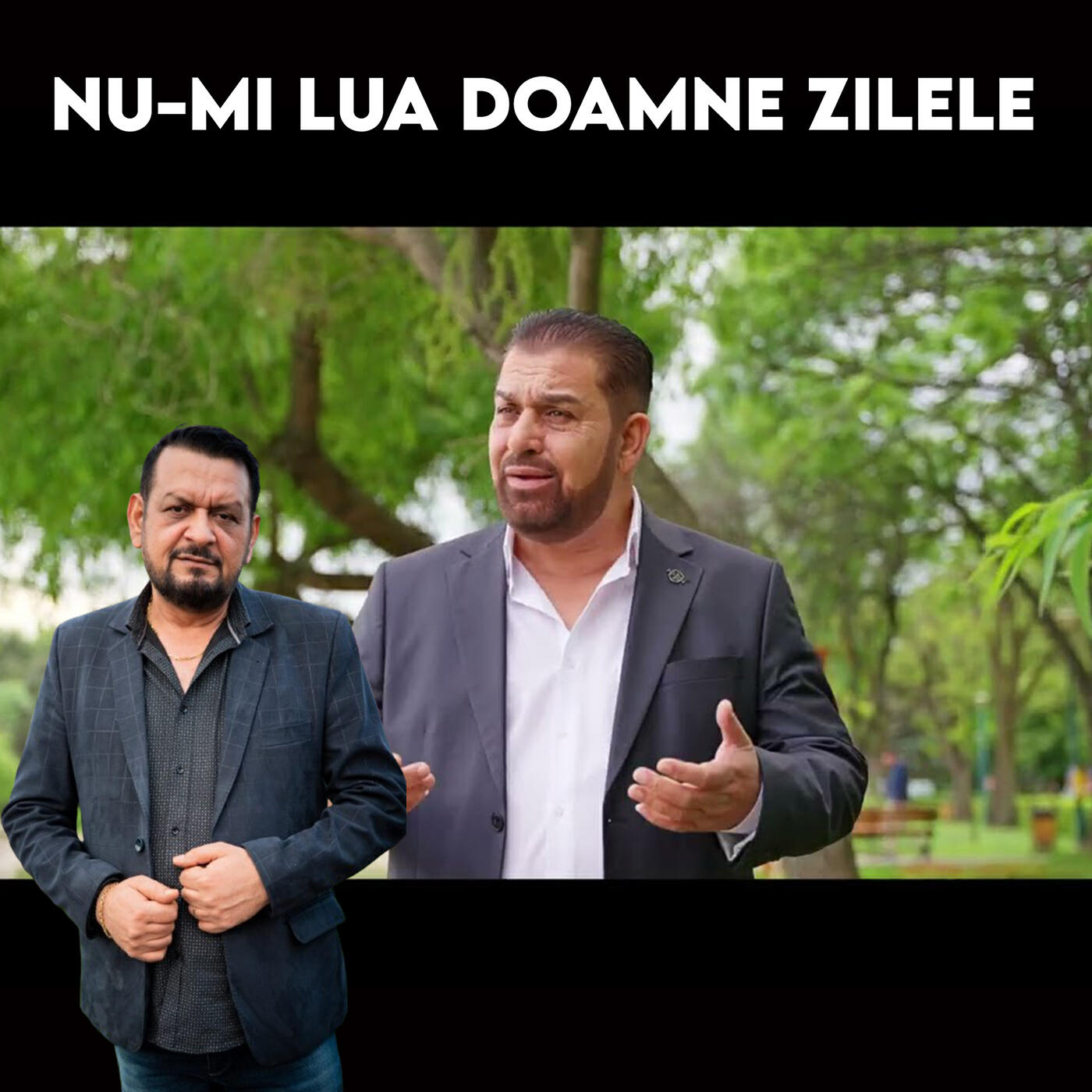 Релиз NU-MI LUA DOAMNE ZILELE