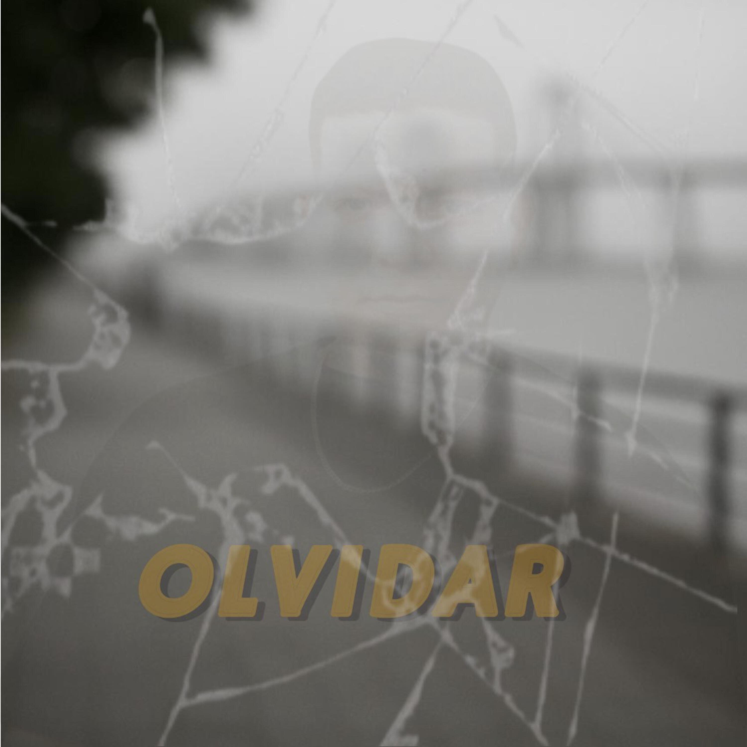 Релиз Olvidar