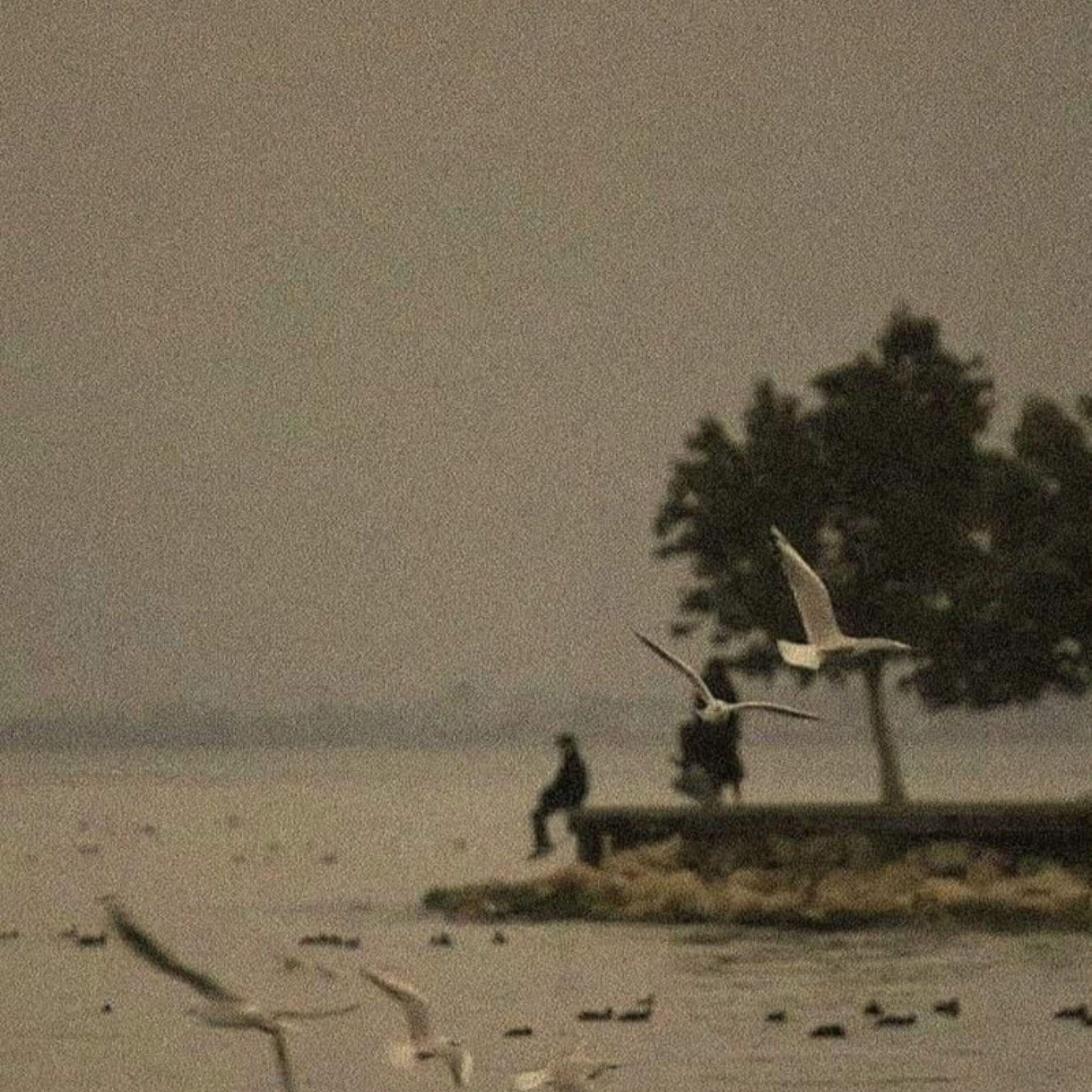 Релиз Calm Waters