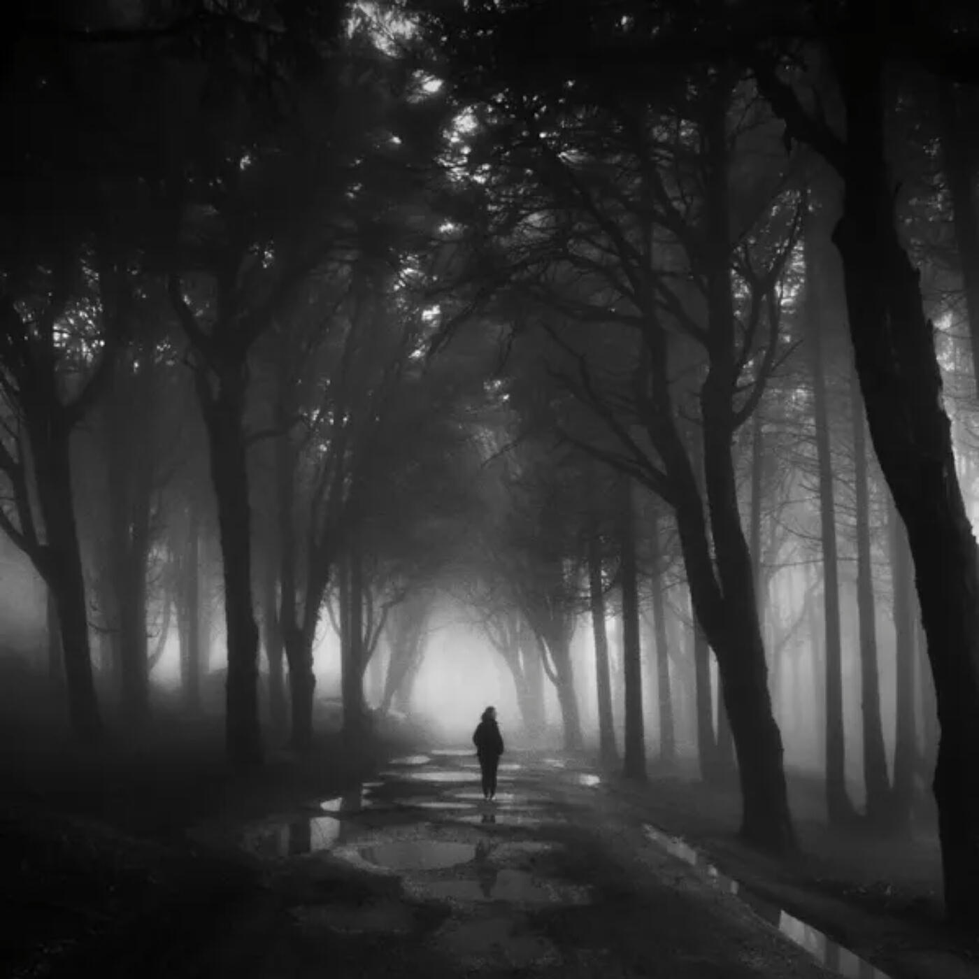 Релиз Dark Electro