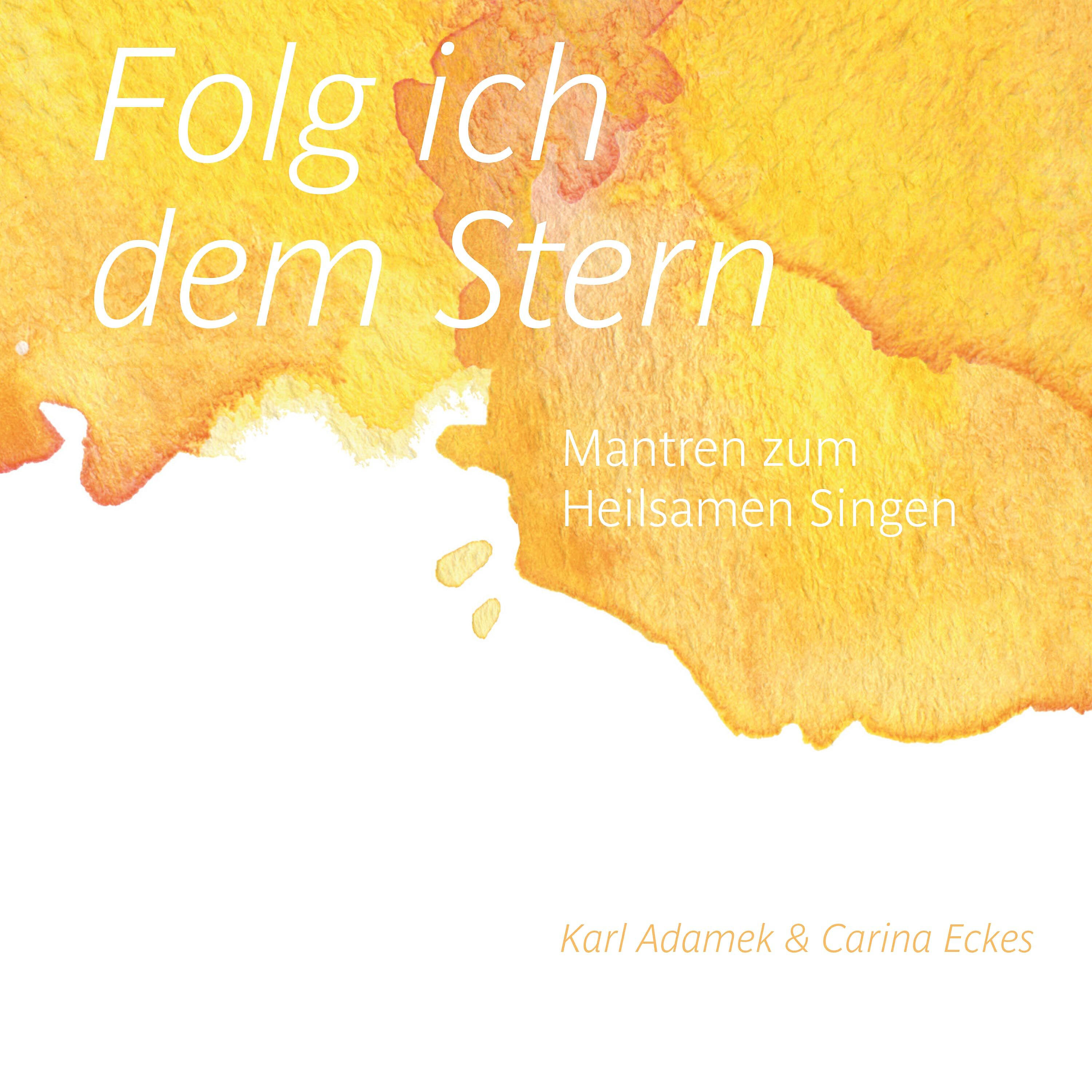 Релиз Folg ich dem Stern