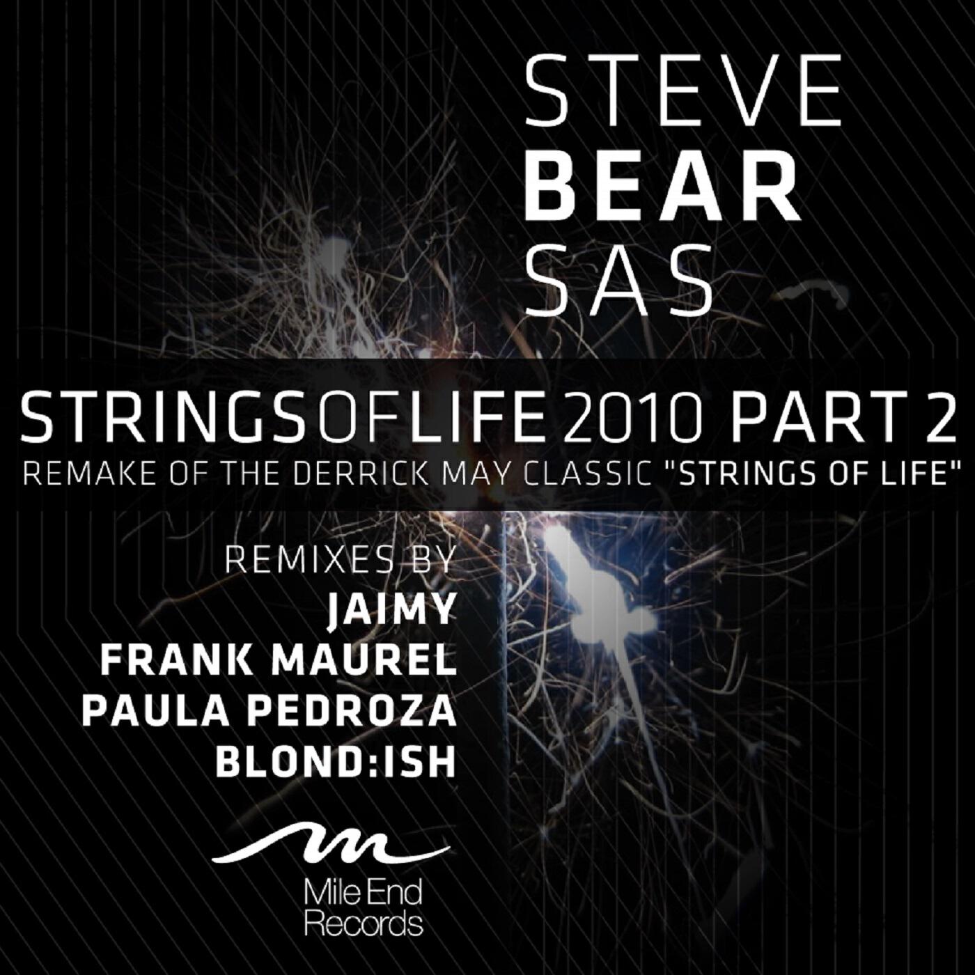 Steve Bear Sas
