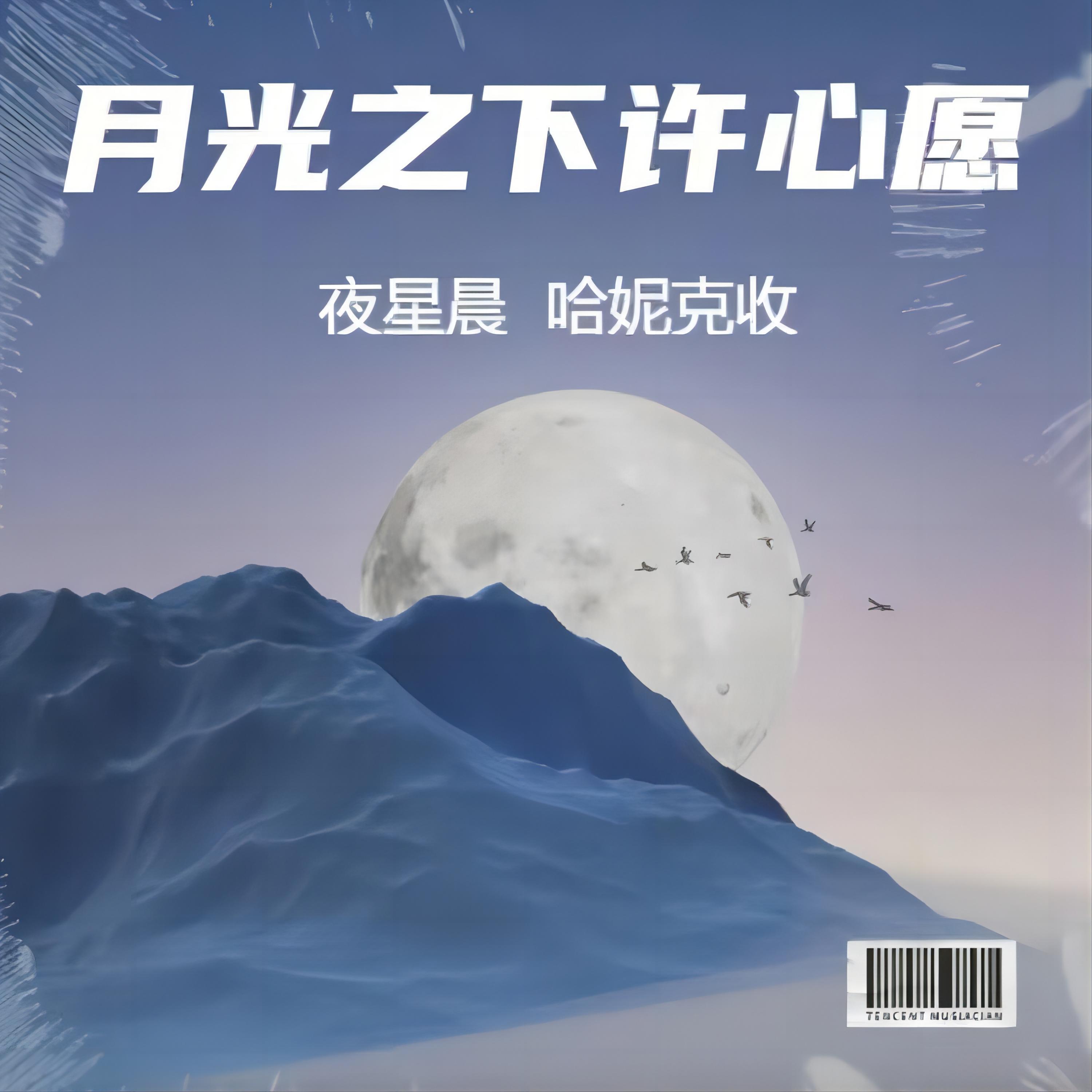哈妮克收