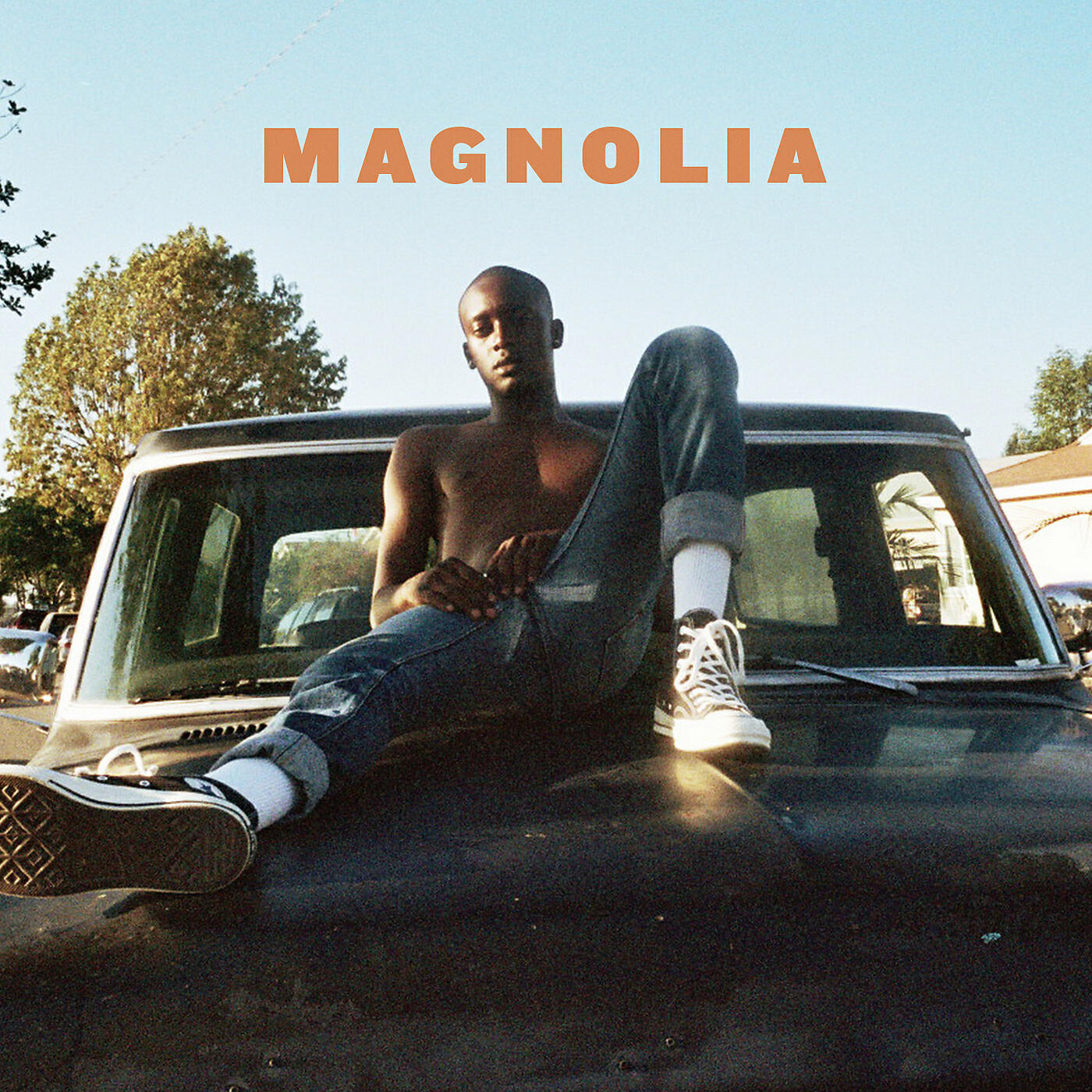 Релиз Magnolia