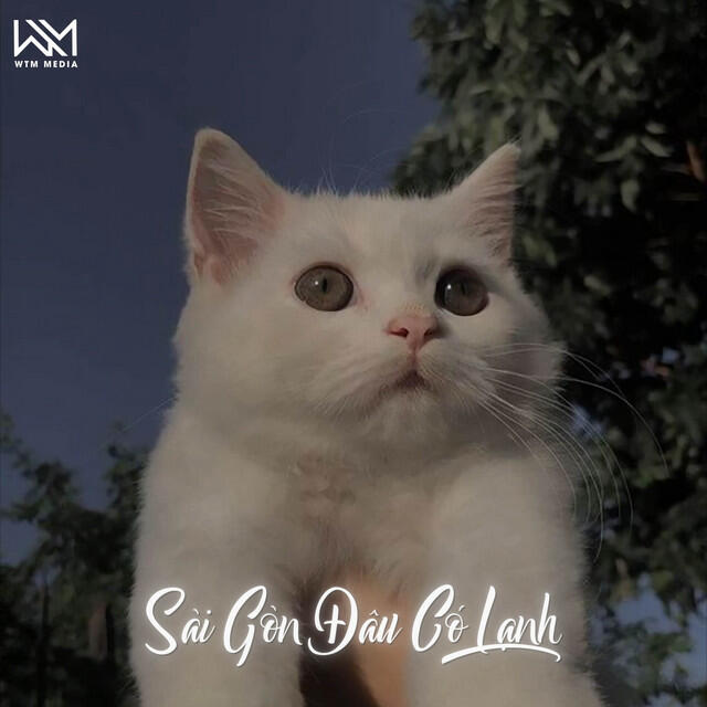 Релиз Sài Gòn Đâu Có Lạnh (Remix)