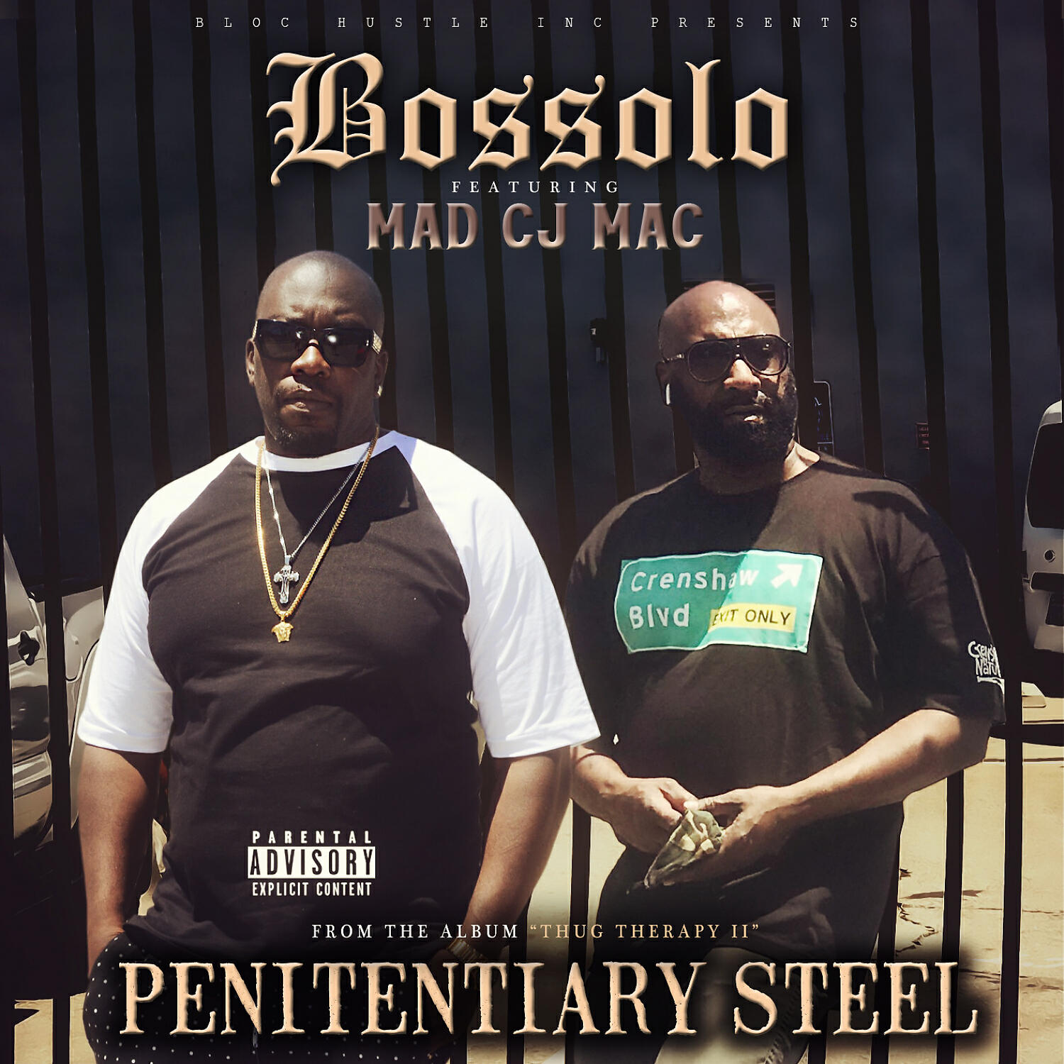 Релиз Penitentiary Steel (feat. Mad CJ Mac)