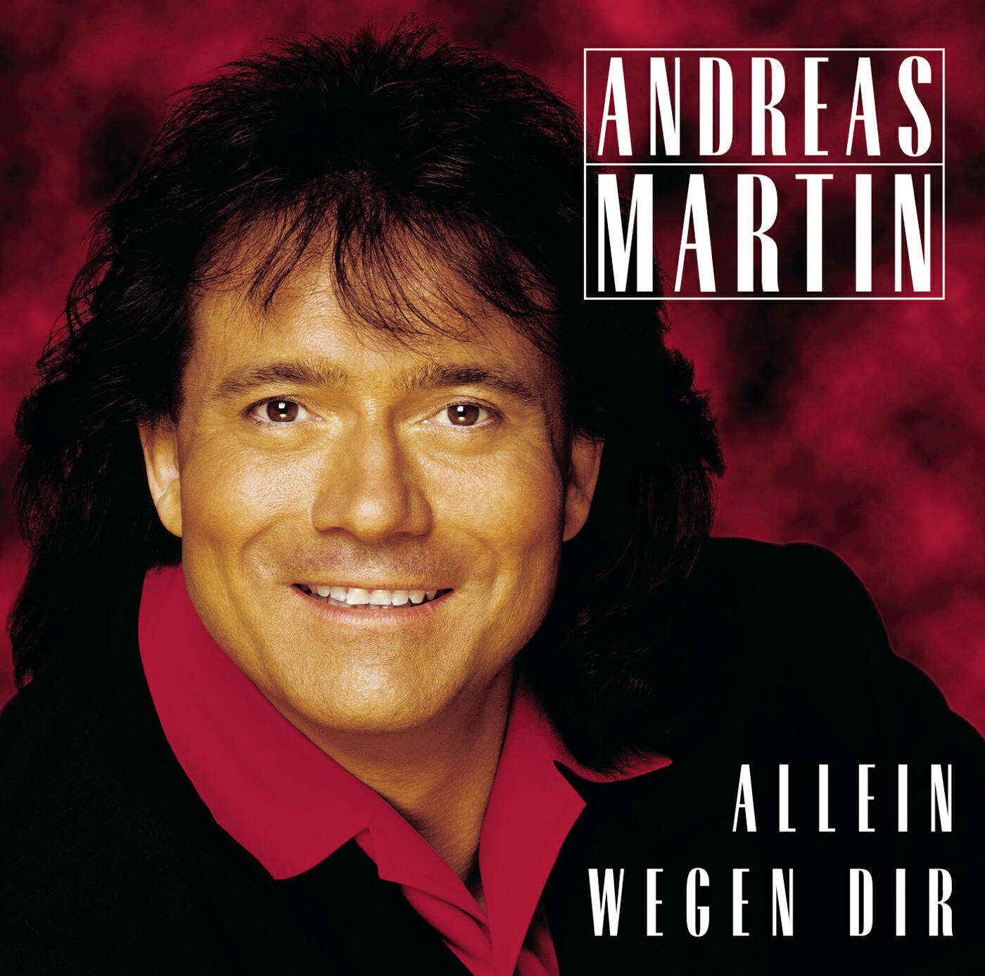 Релиз Allein wegen Dir