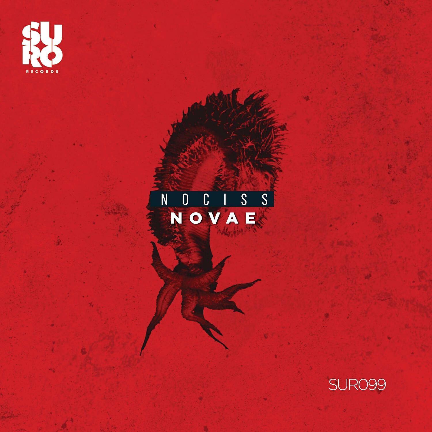 Nociss