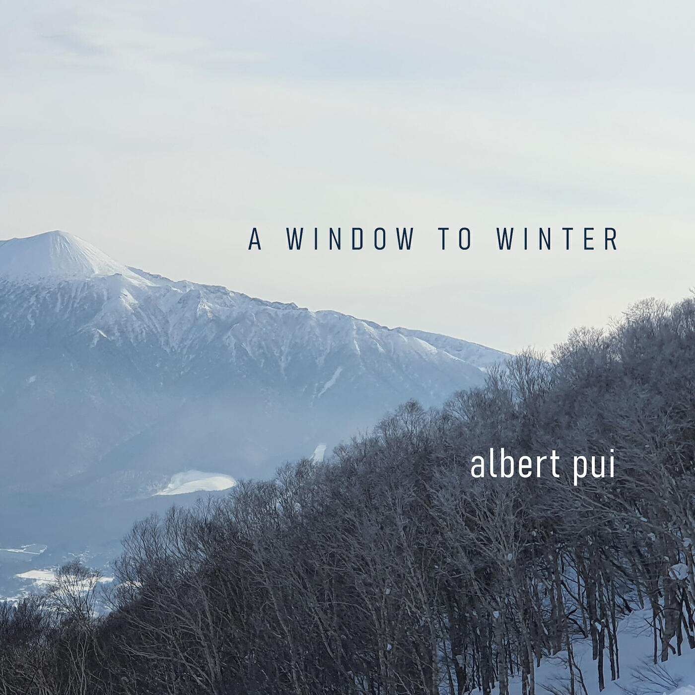 Albert Pui