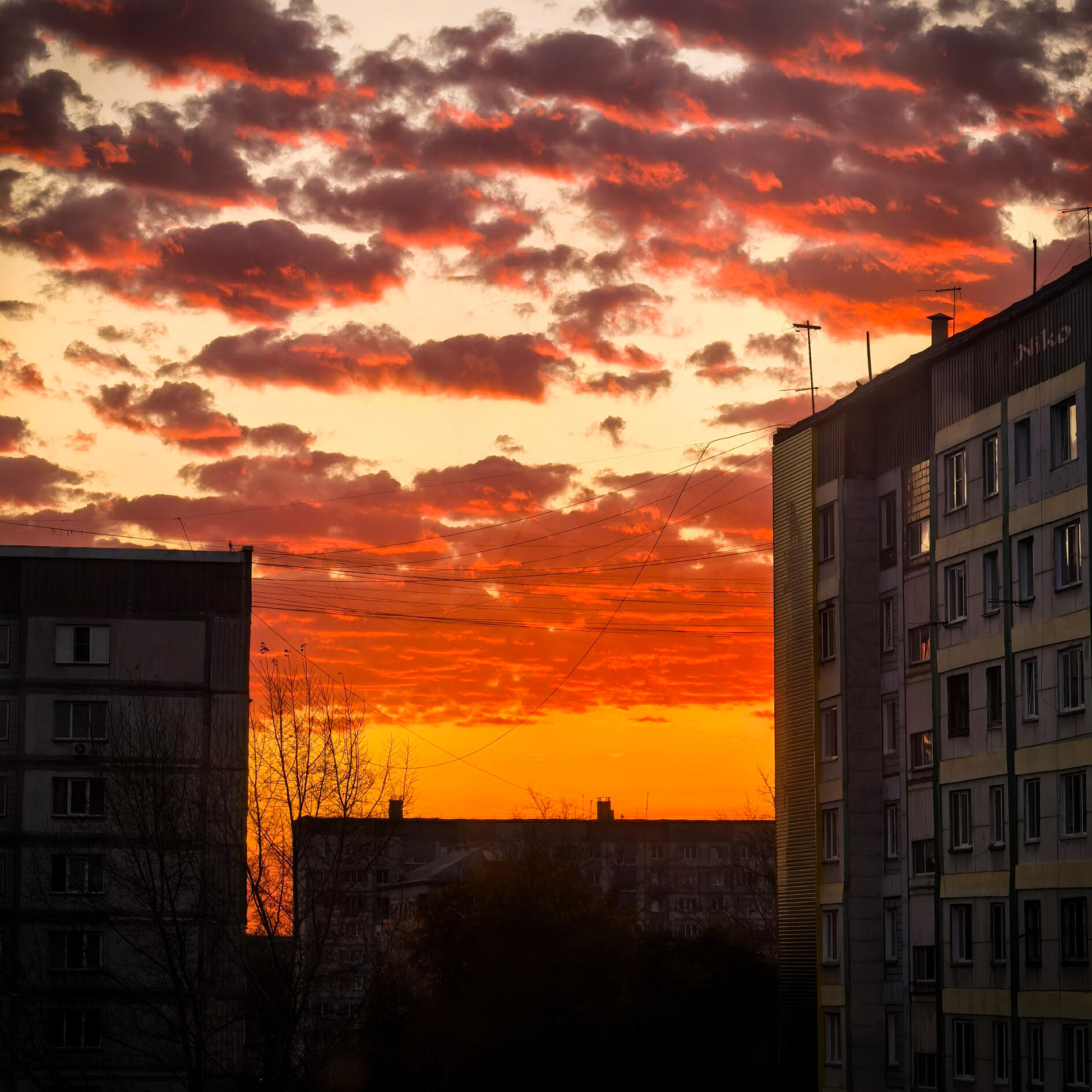 Релиз Панельки