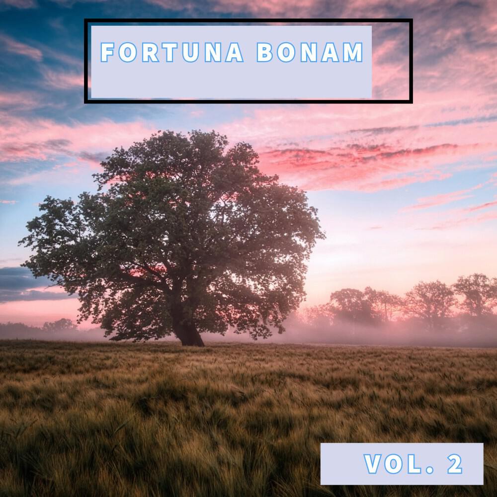 Релиз Fortuna Bonam, Vol. 2