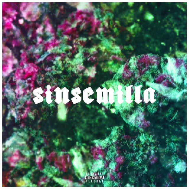 Релиз Sinsemilla