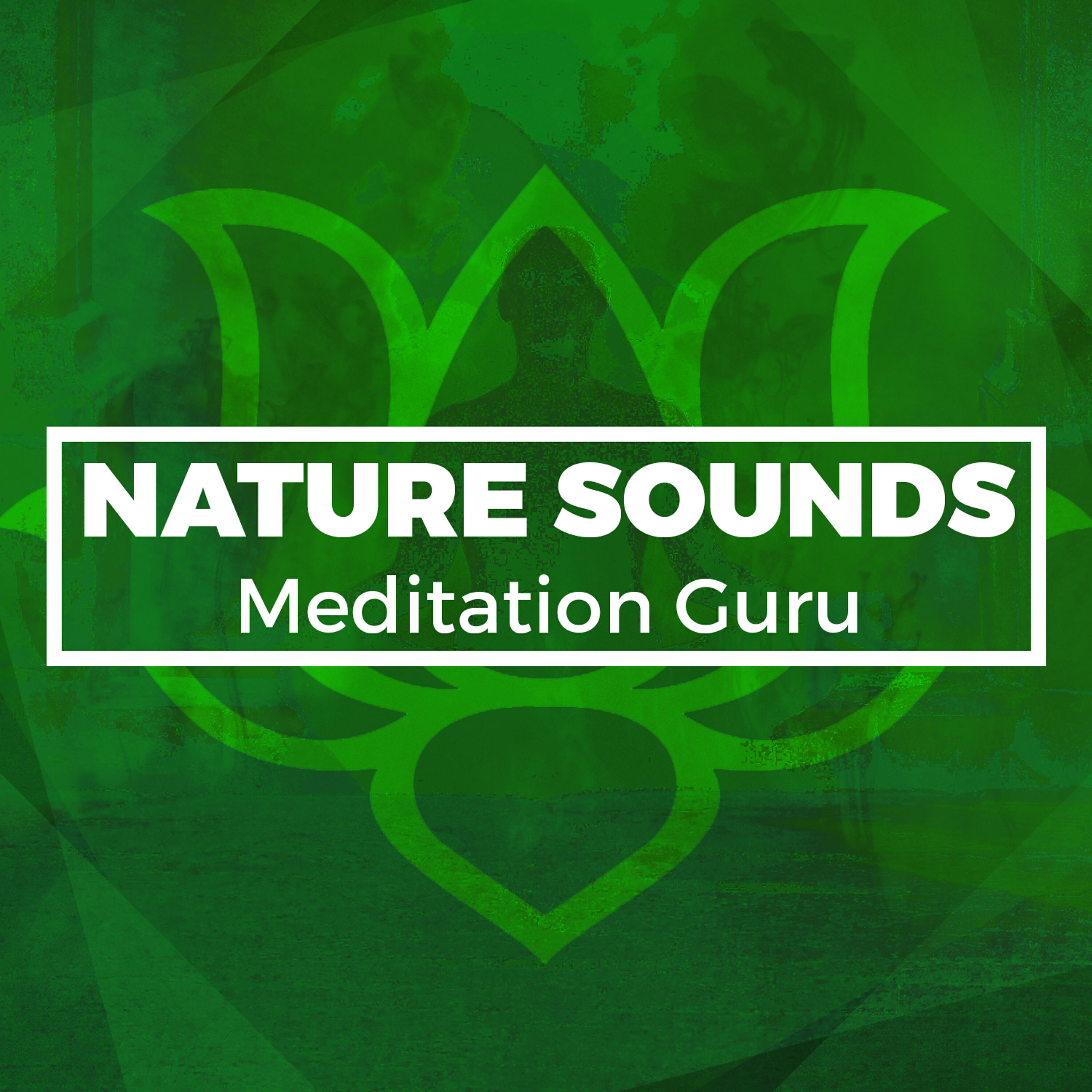Релиз Nature Sounds Meditation Guru