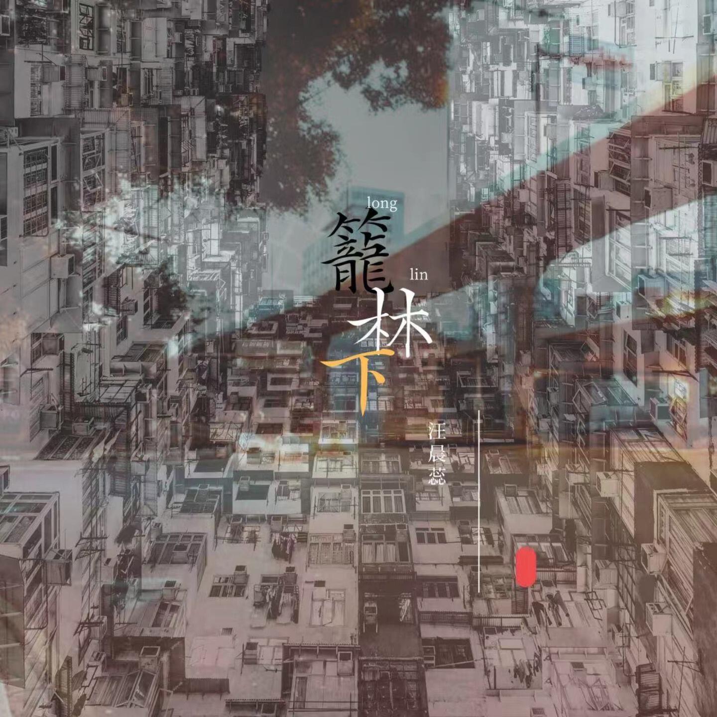 汪晨蕊 - 笼林下