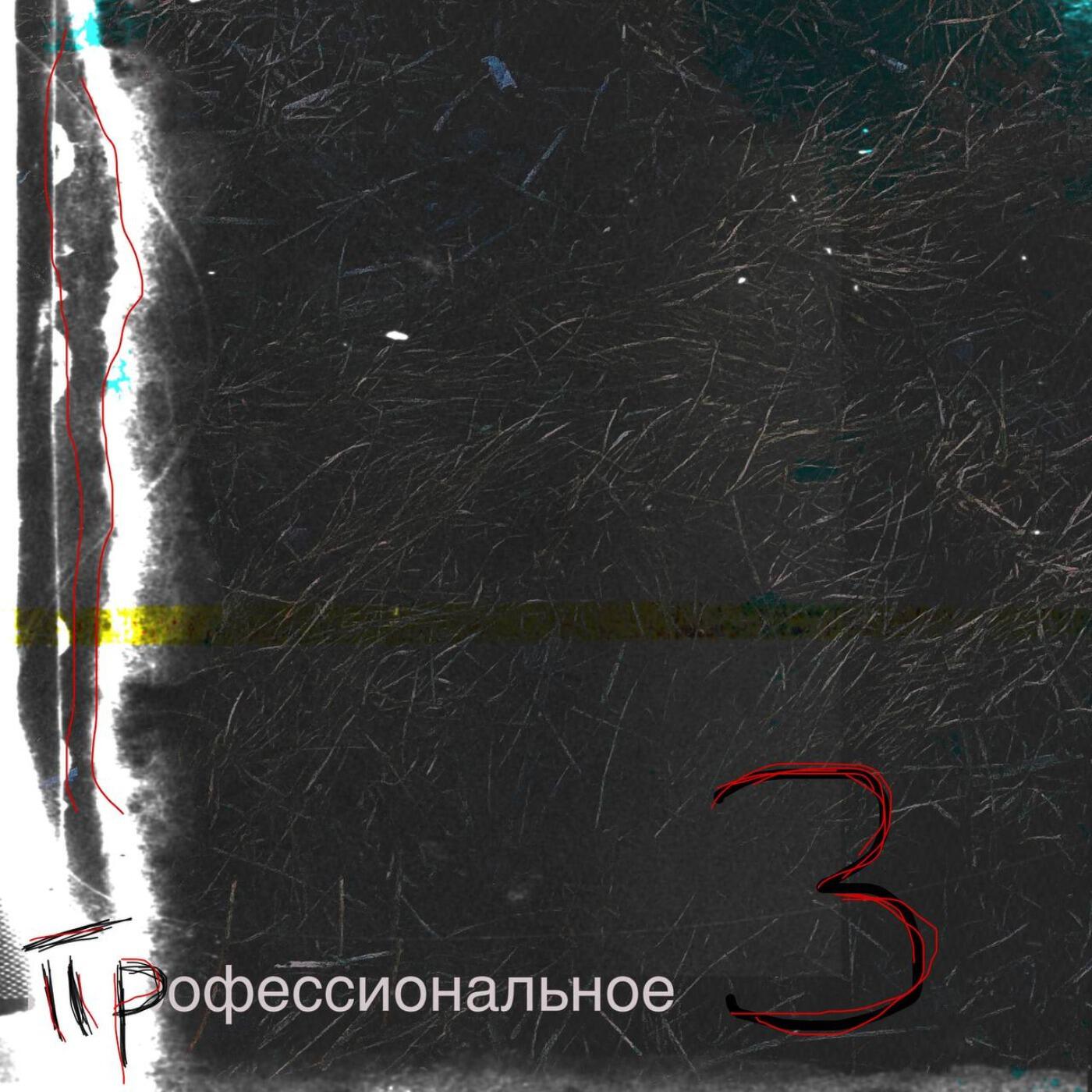 Релиз Профессиональное, Pt. 3