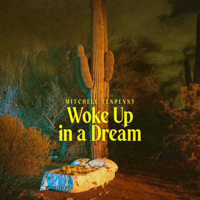 Постер альбома Woke Up in a Dream