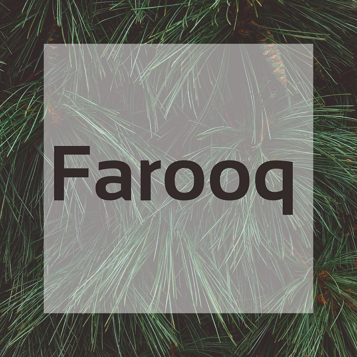 Релиз Khudaya Ma Da Khukulo Na Kurban Ki