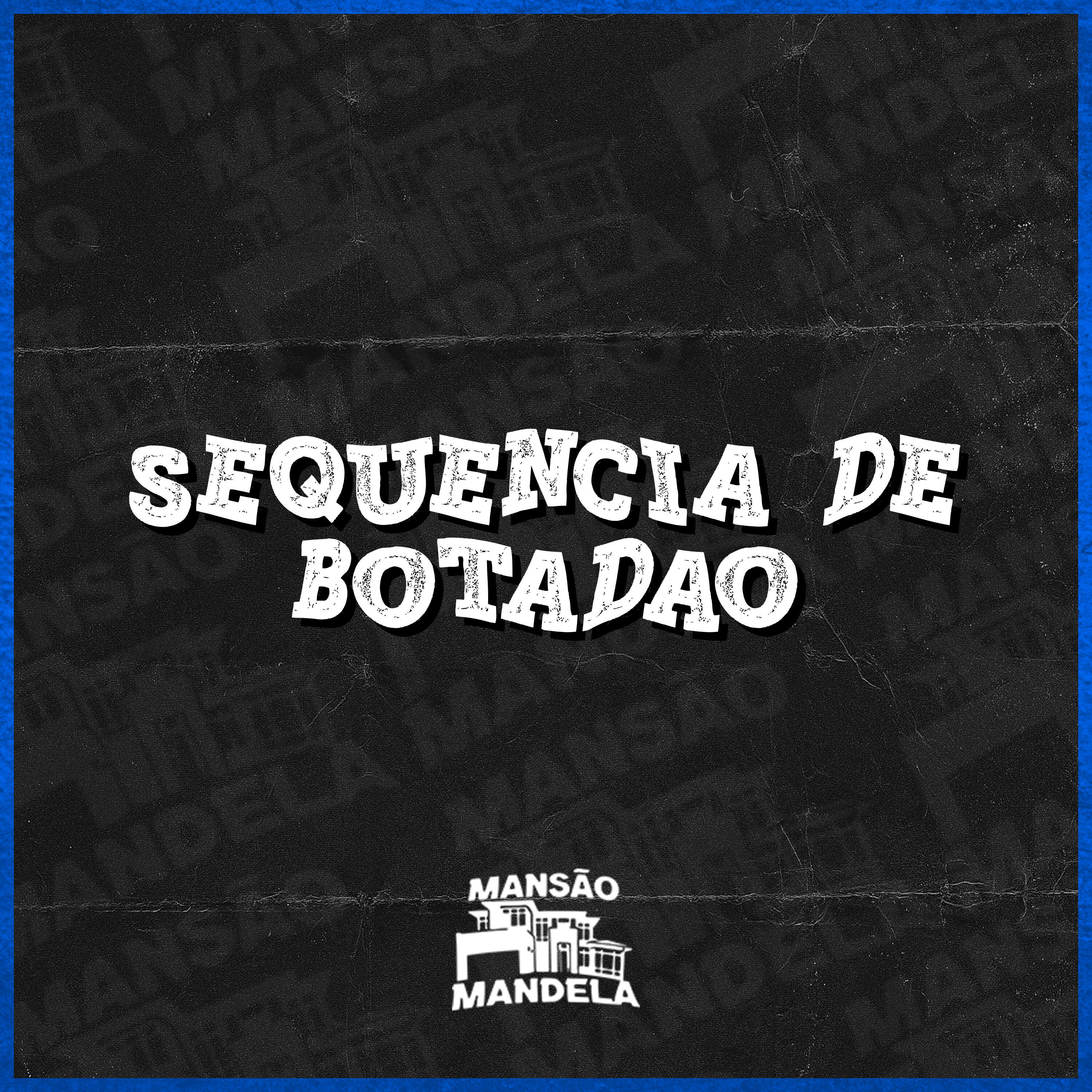 Скачать песню Mc Delux, Dj Paulinho Unico - Sequencia de Botadão бесплатно в MP3 для Android и iOS