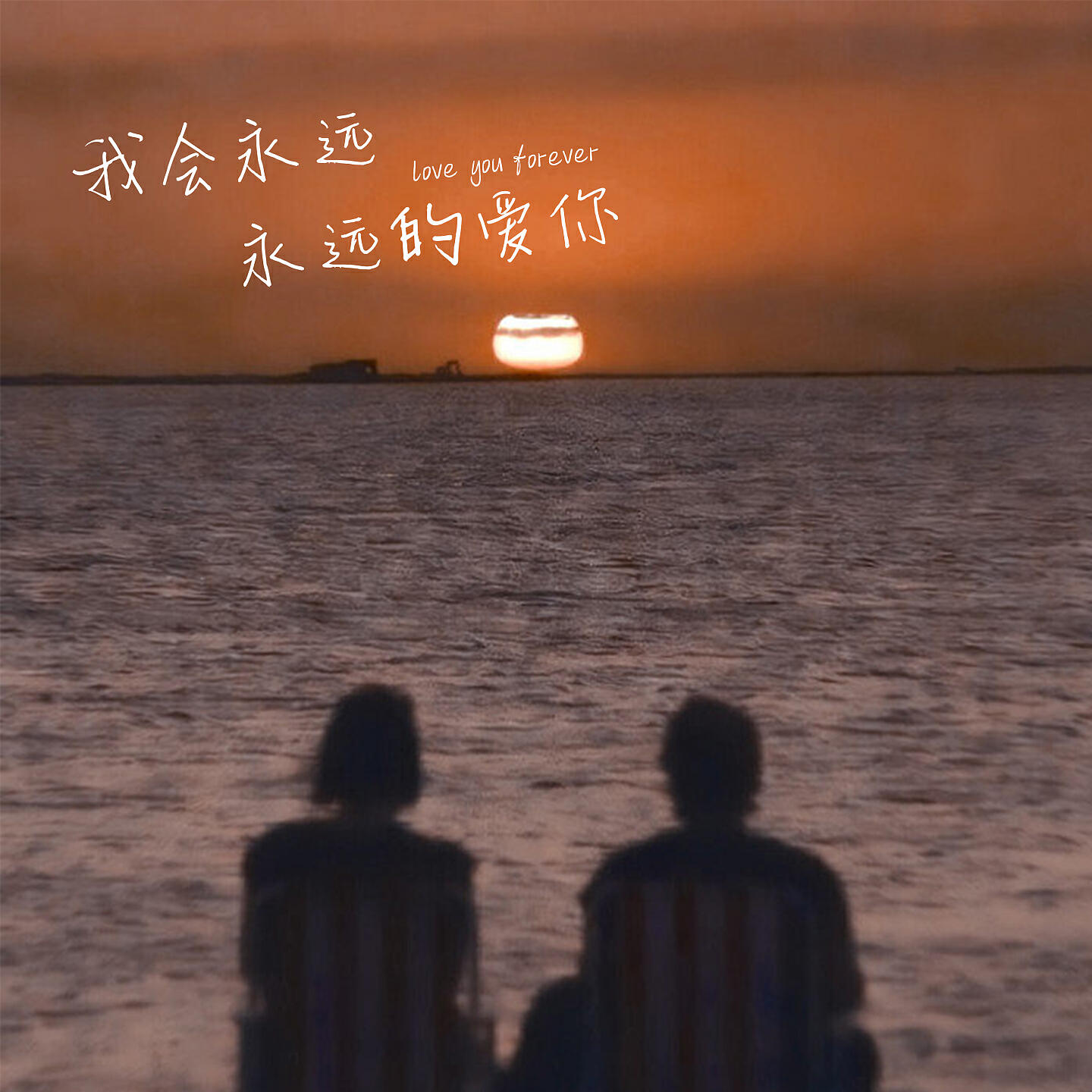 Релиз 我会永远永远的爱你