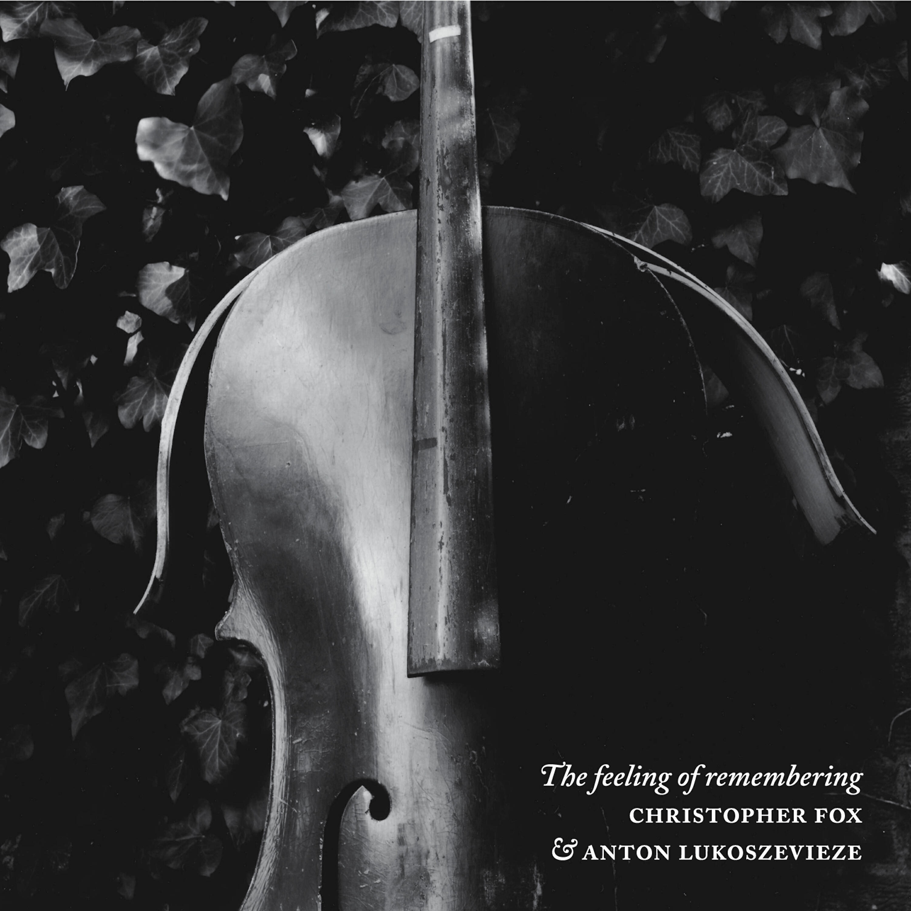 Релиз The Feeling of Remembering