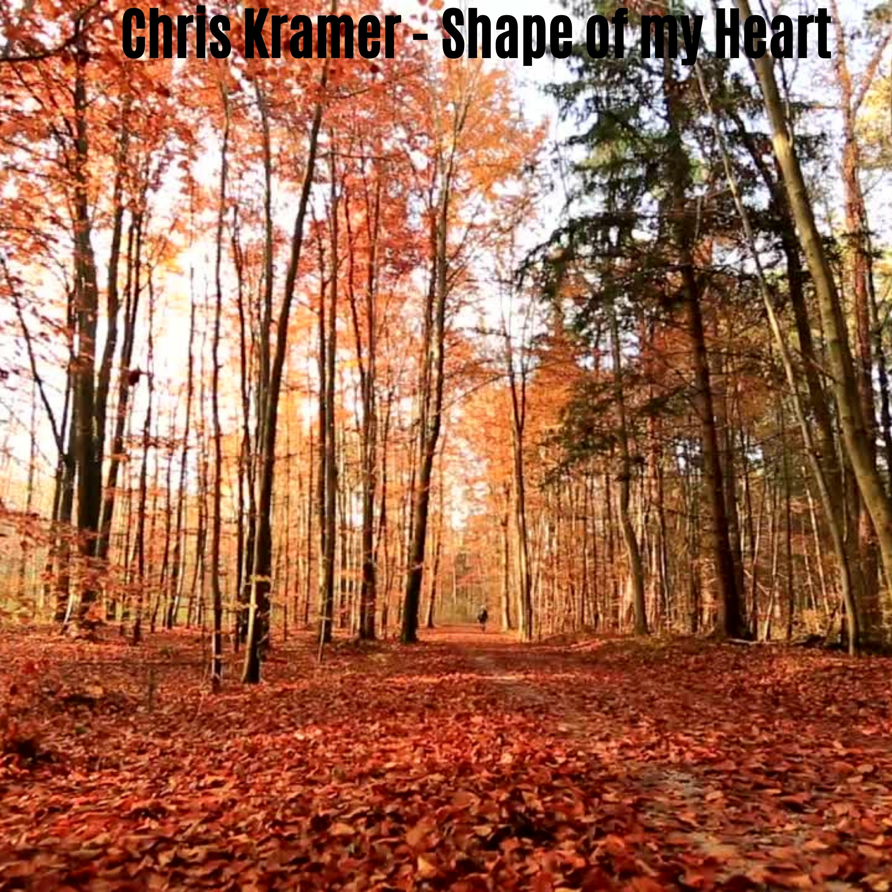 Релиз Shape of my Heart