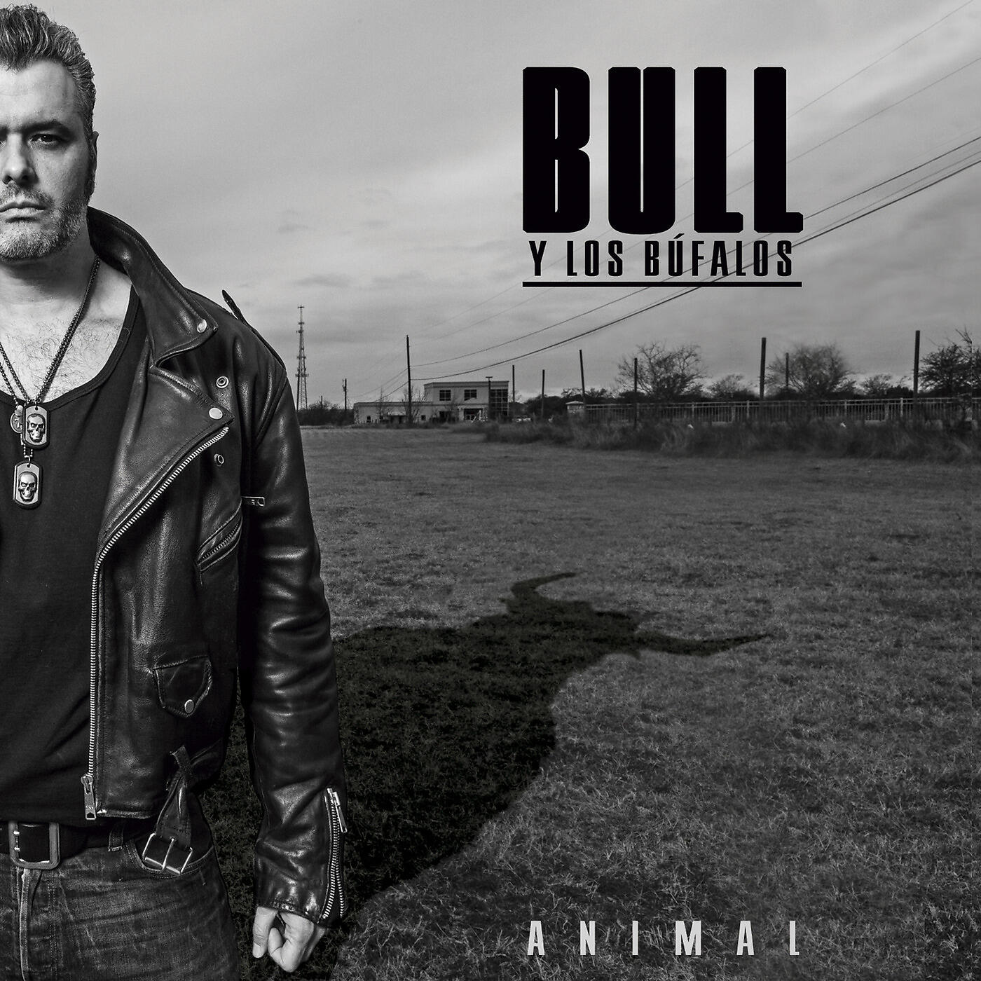 Релиз Animal