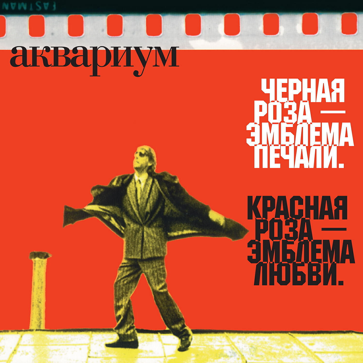 Релиз Чёрная роза - эмблема печали, красная роза - эмблема любви