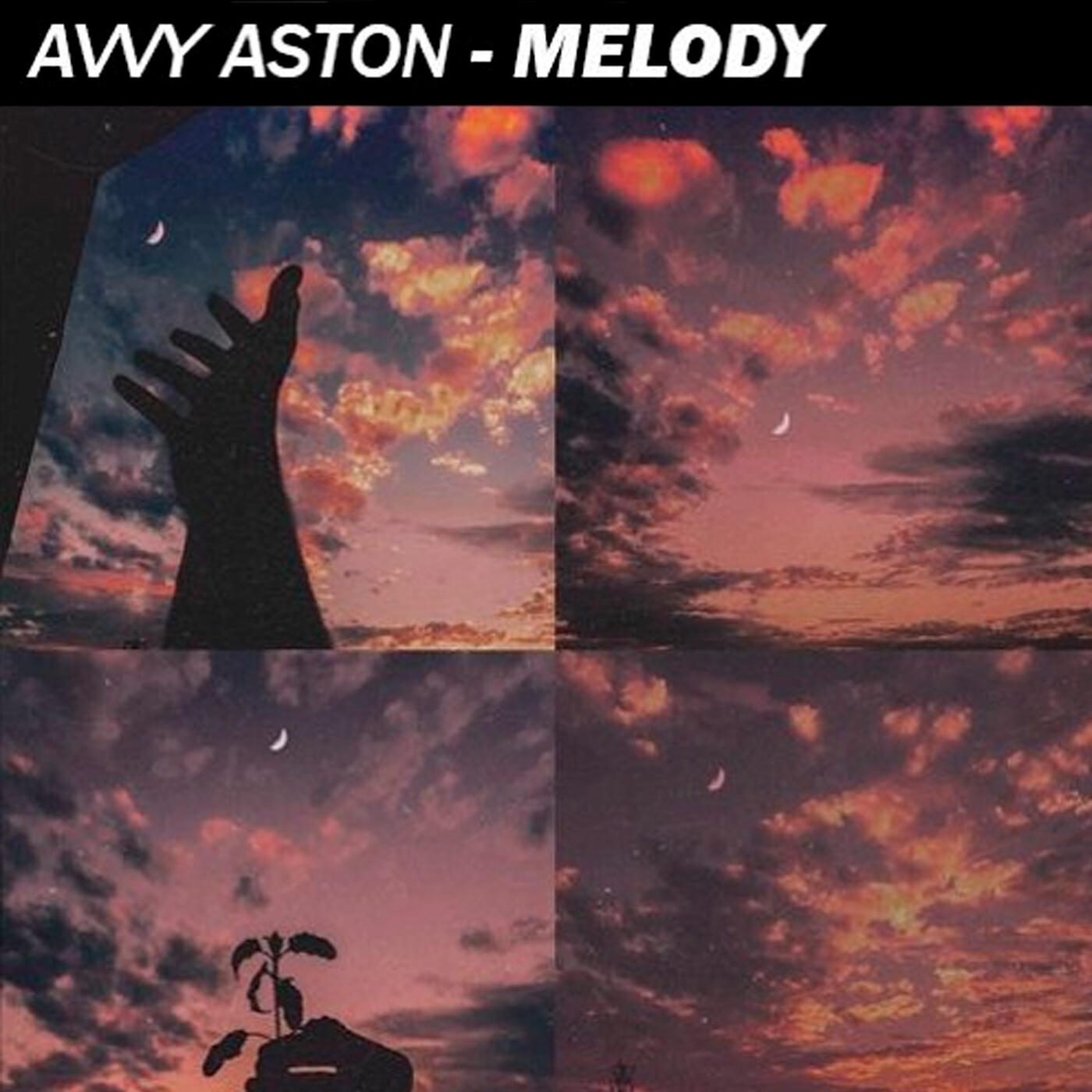Релиз Melody