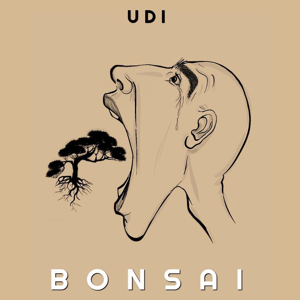 Релиз Bonsai