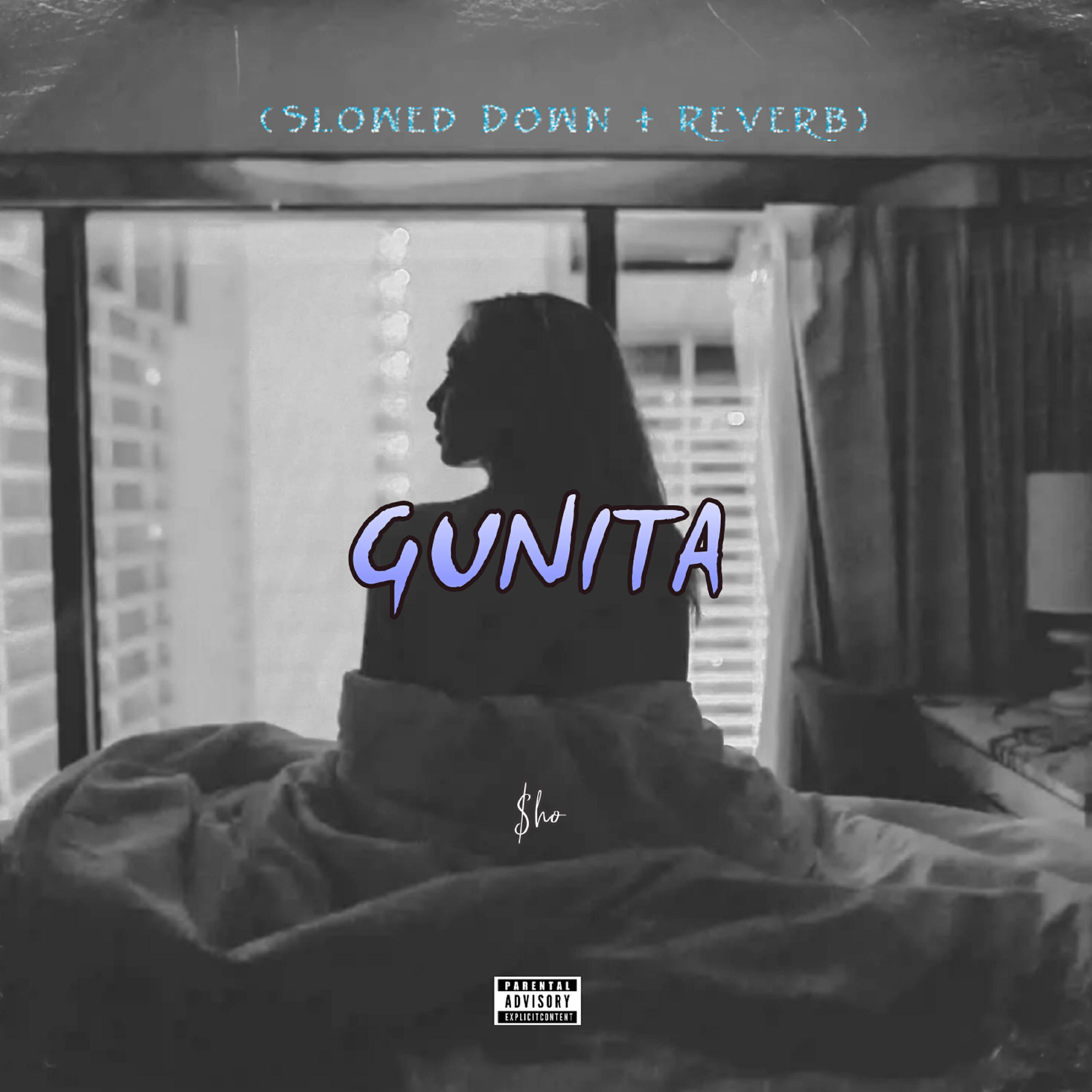 Релиз Gunita