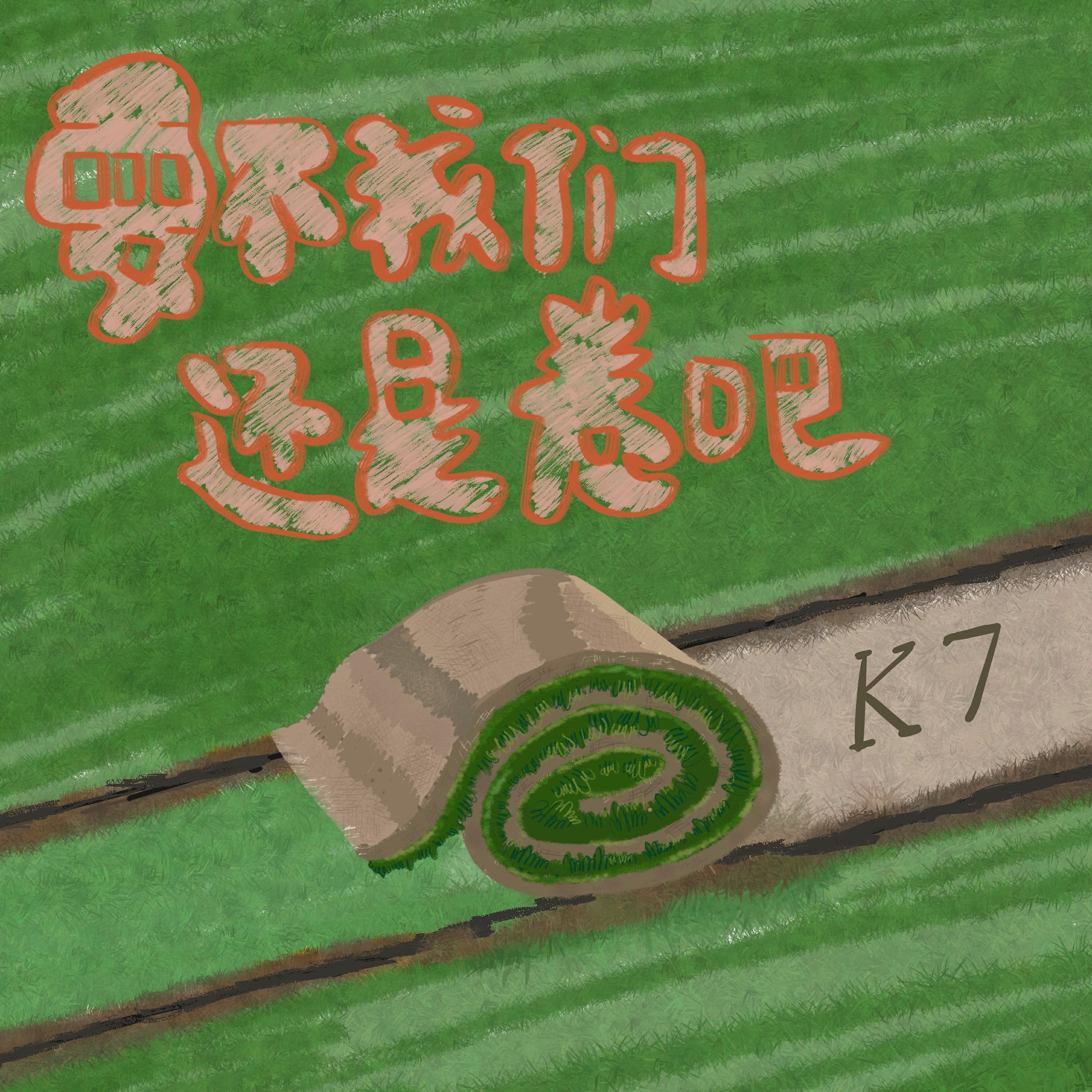Релиз 要不我们还是卷吧