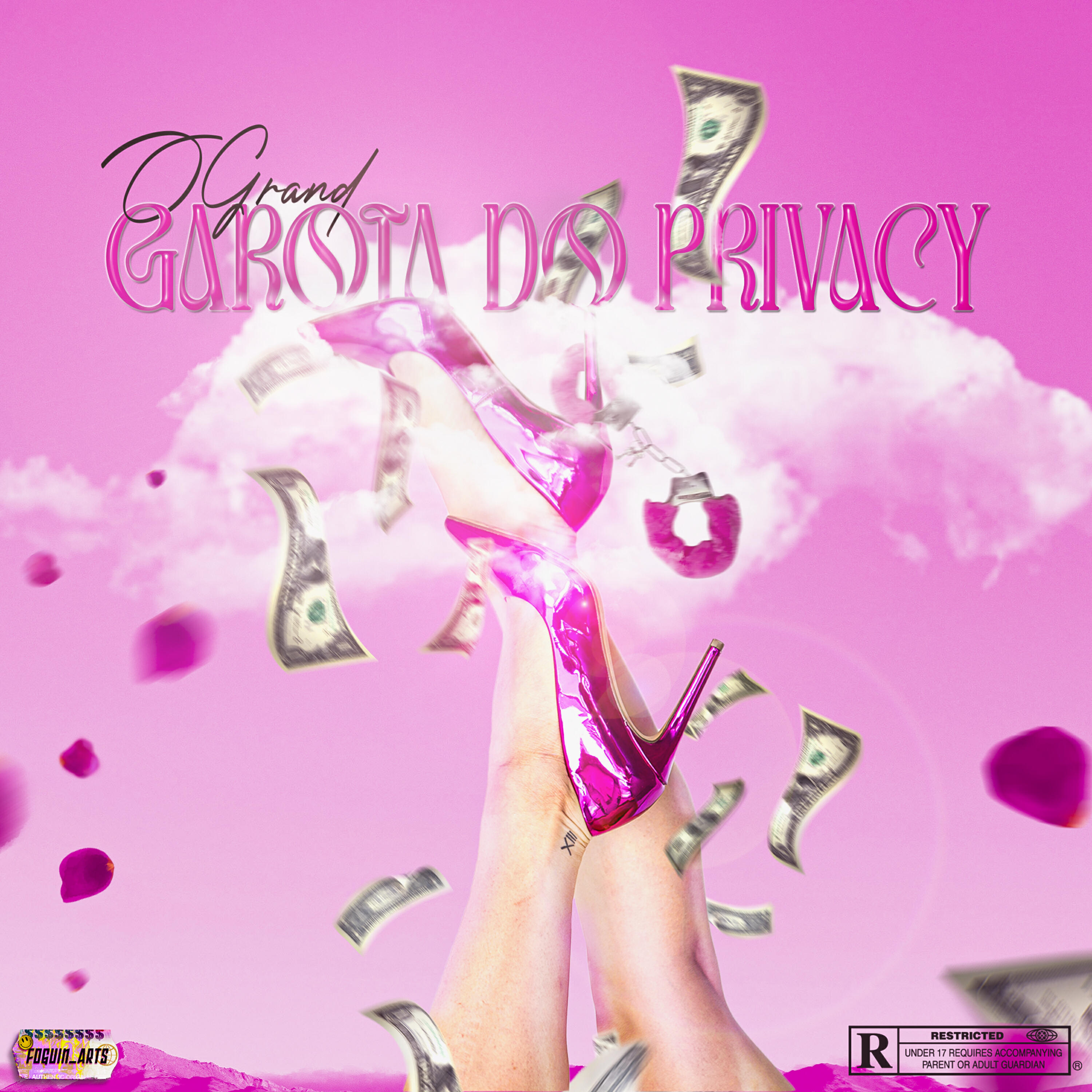 Релиз GAROTA DO PRIVACY