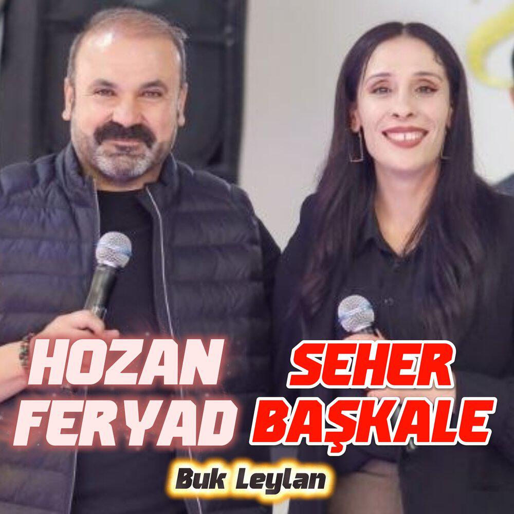 Релиз Buk Leylan