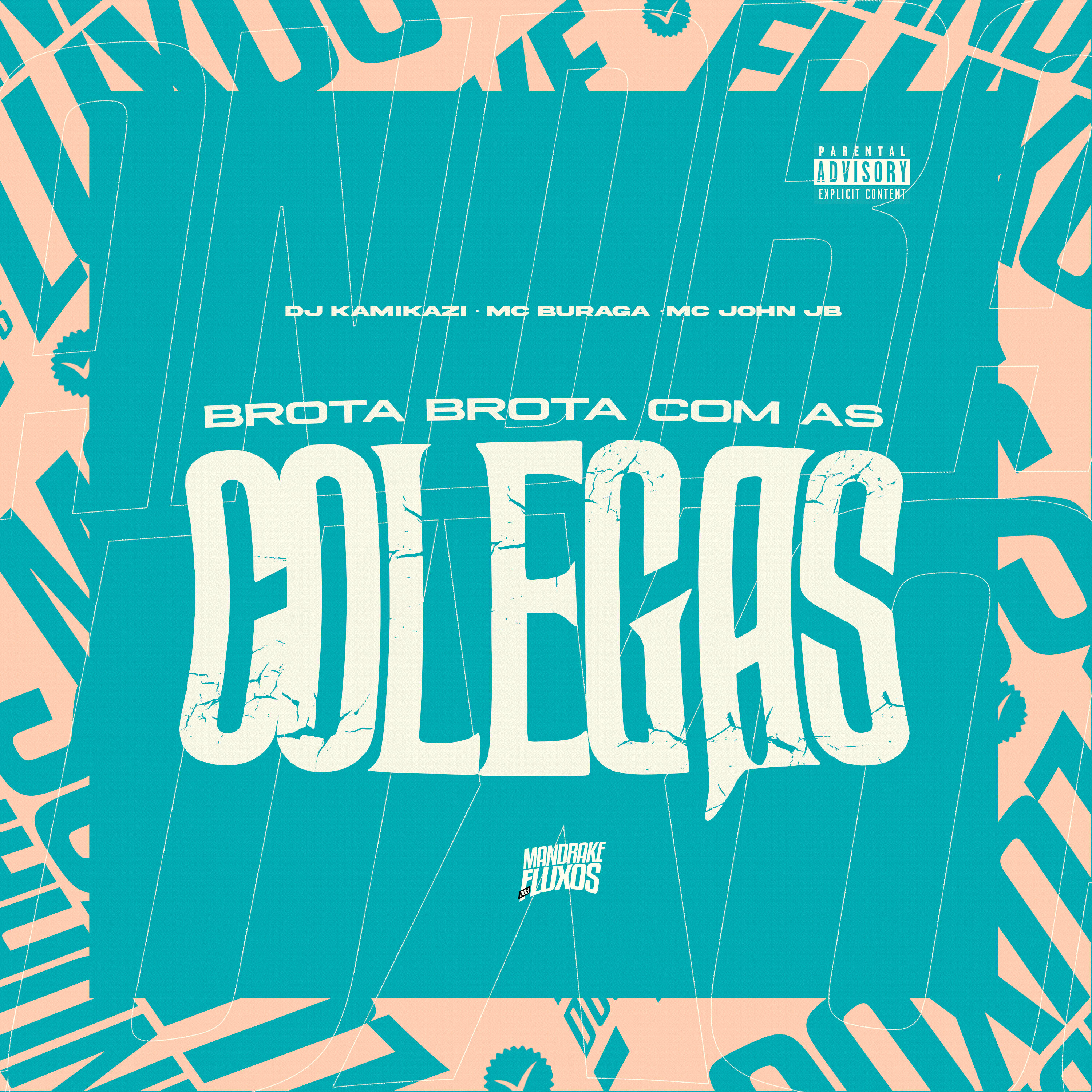 Релиз Brota com as Colegas