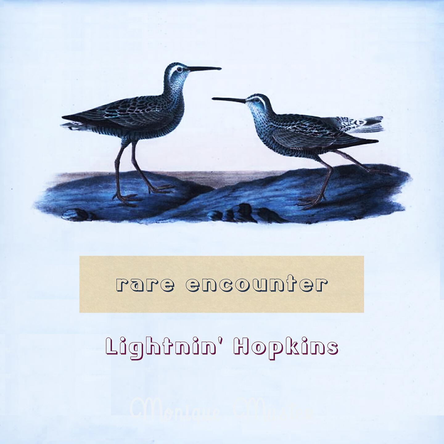 Релиз Rare Encounter