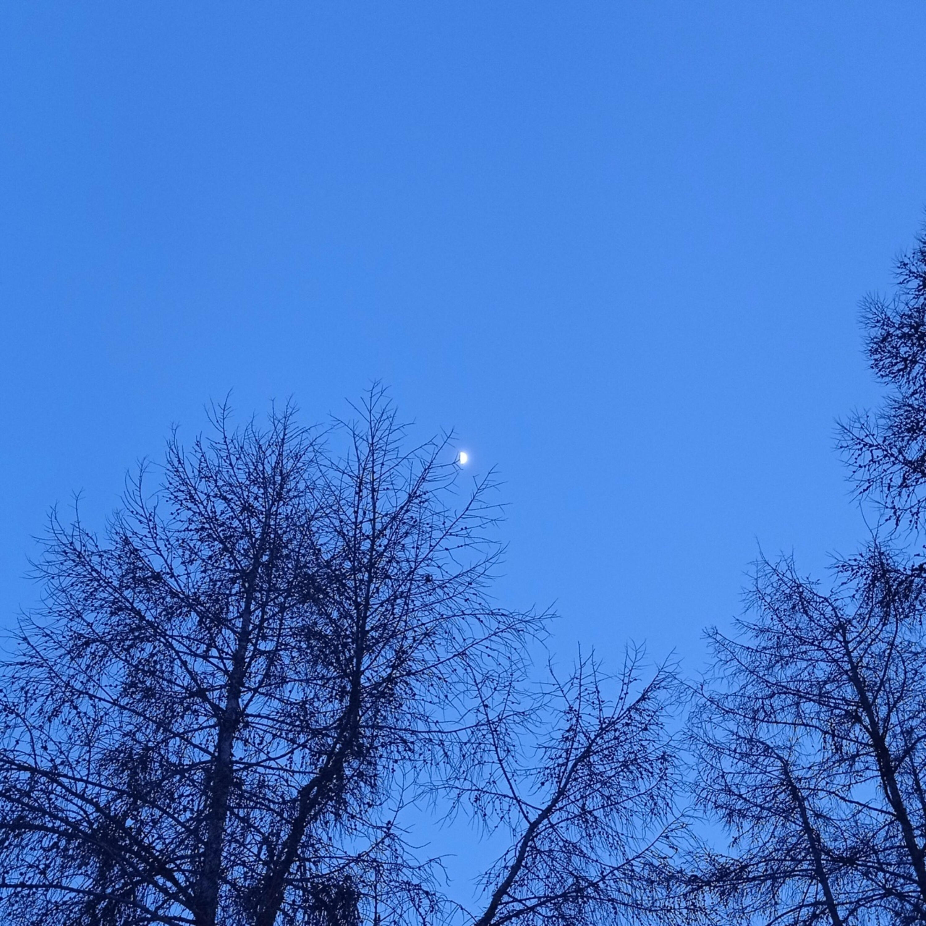 Релиз Night walk