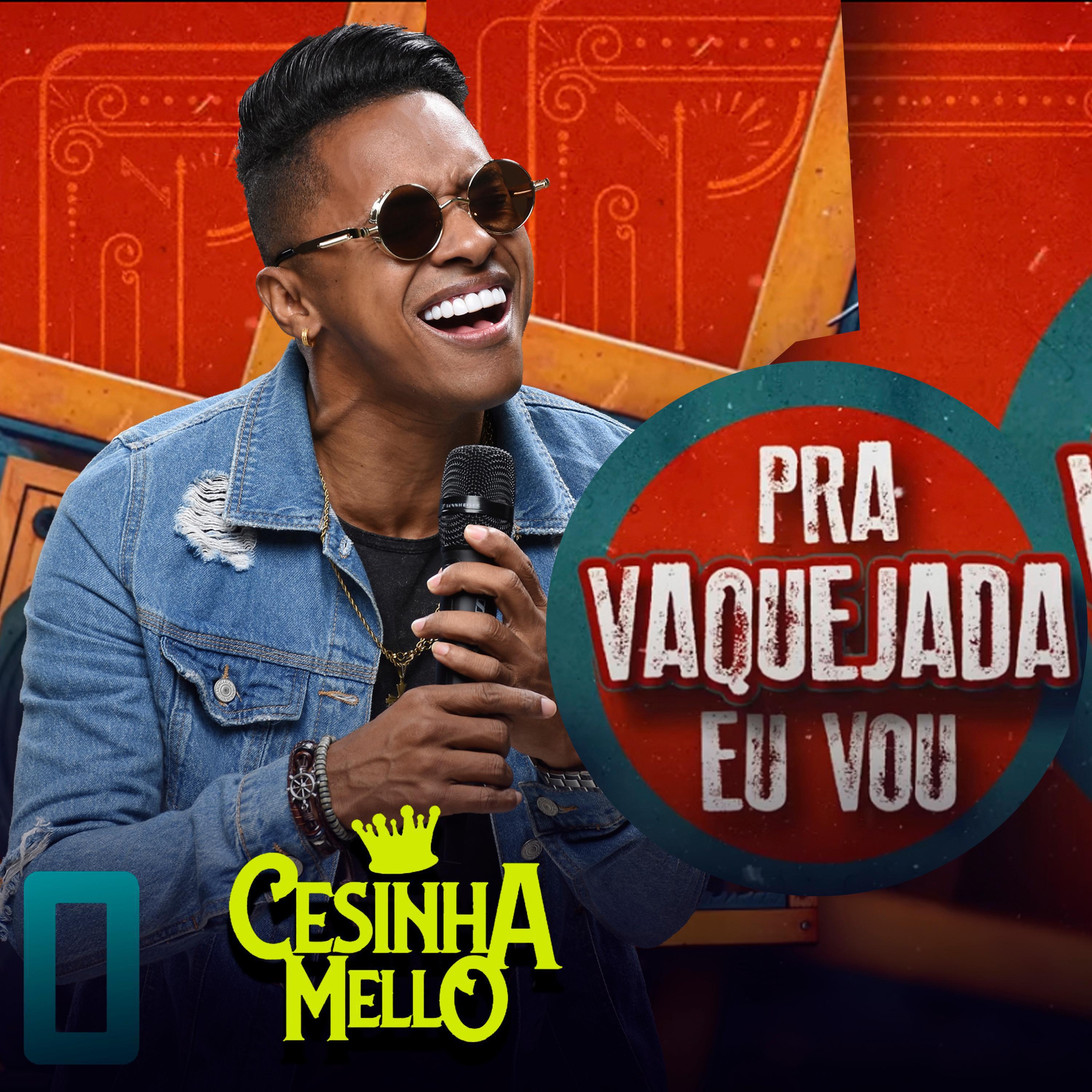 Релиз PRA VAQUEJADA EU VOU