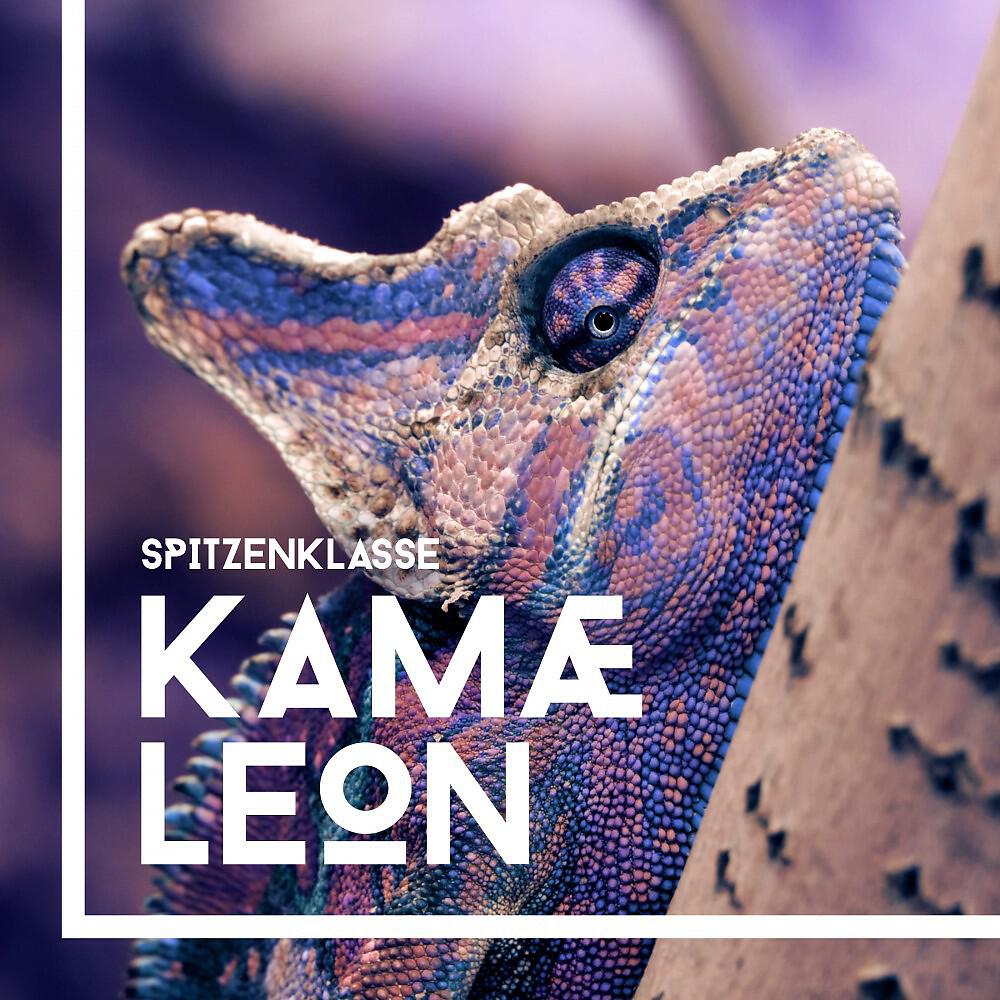 Релиз Kamæleon