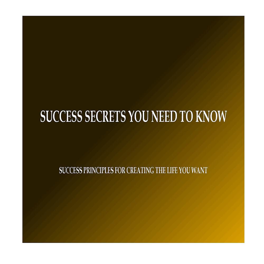 Релиз Success Secrets You Need to Know (Success Principles for Creating the Life You Want)
