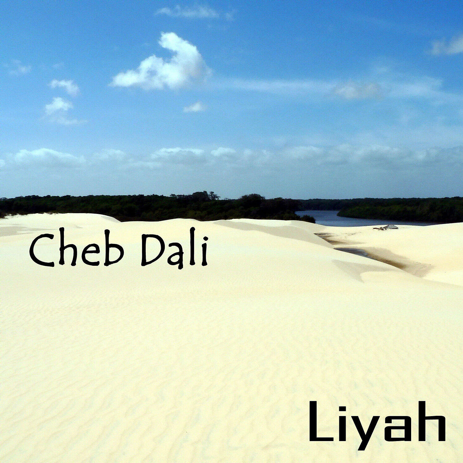 Релиз Cheb Dali, Liyah