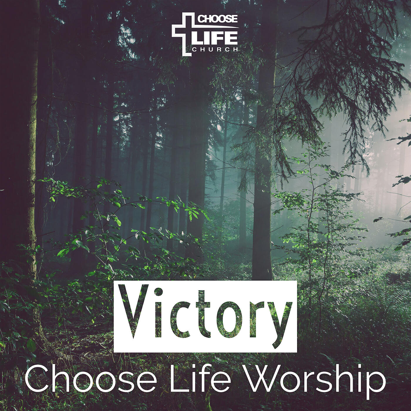 Релиз Victory
