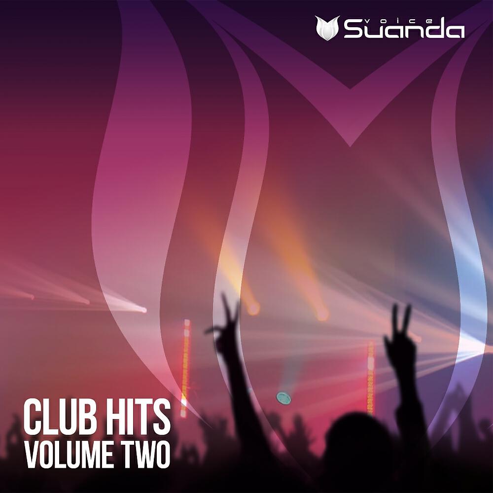 Постер альбома Club Hits, Vol. 2